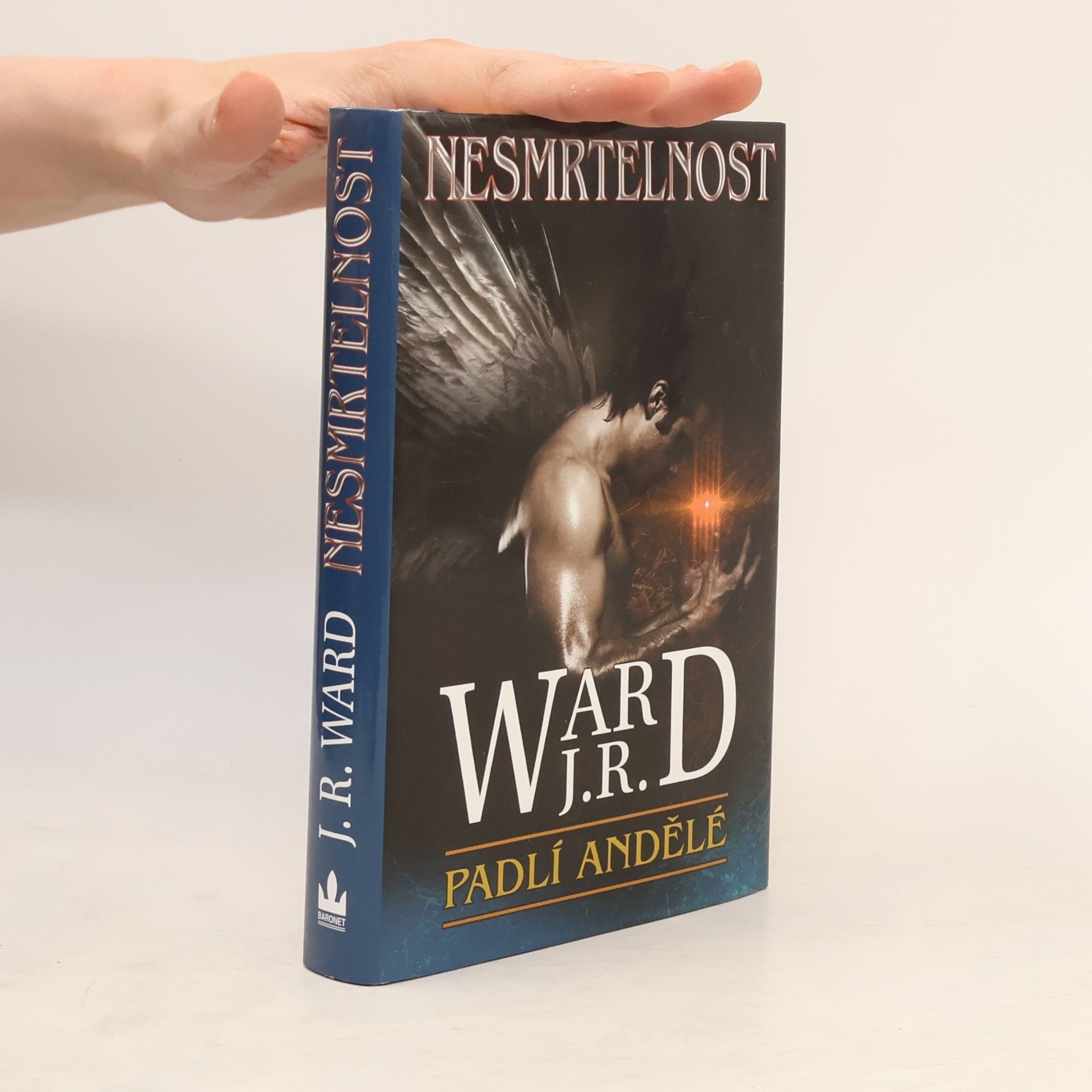 J. R. Ward Nesmrtelnost. Šestý díl románového cyklu Padlí andělé