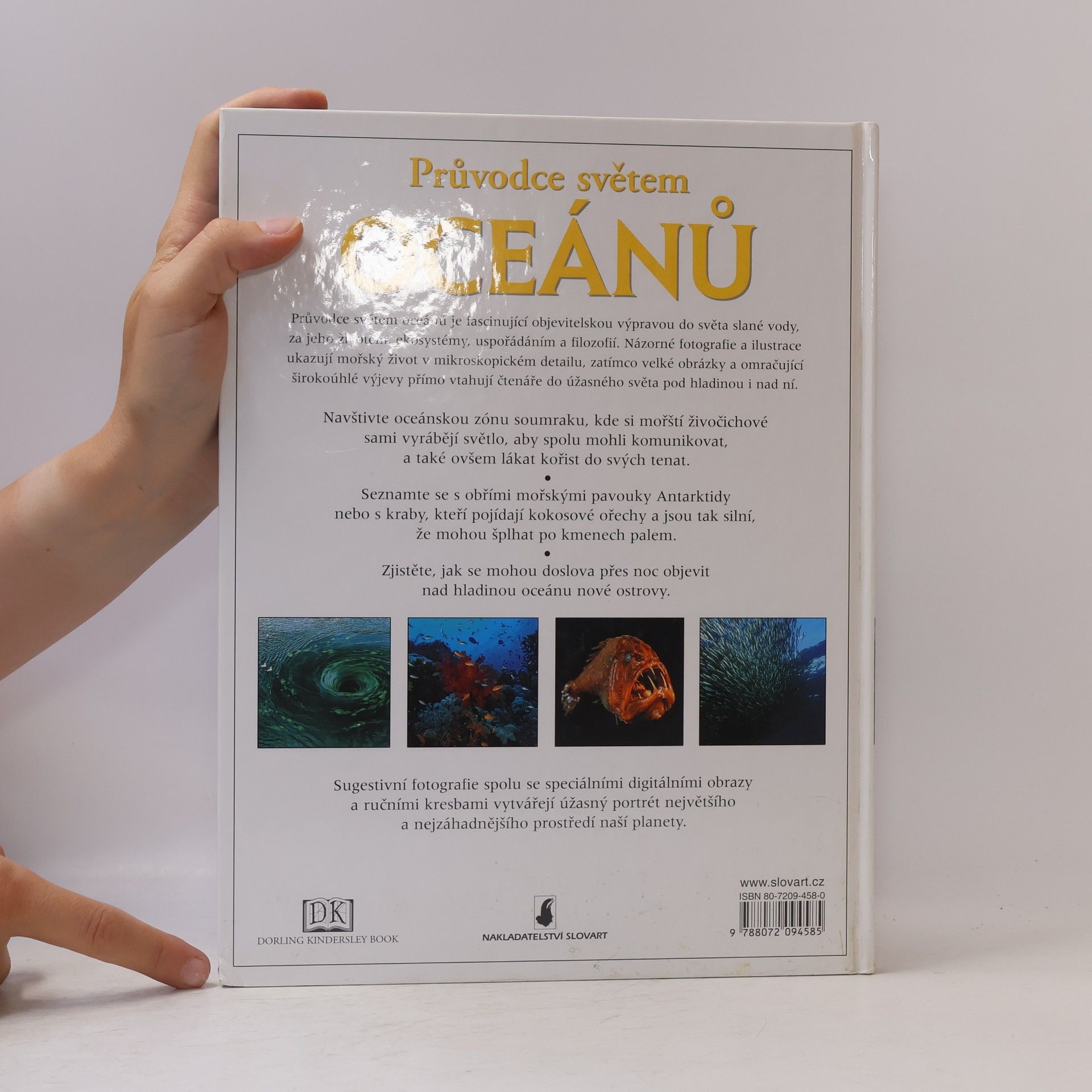 Frances Dipper Průvodce světem oceánů