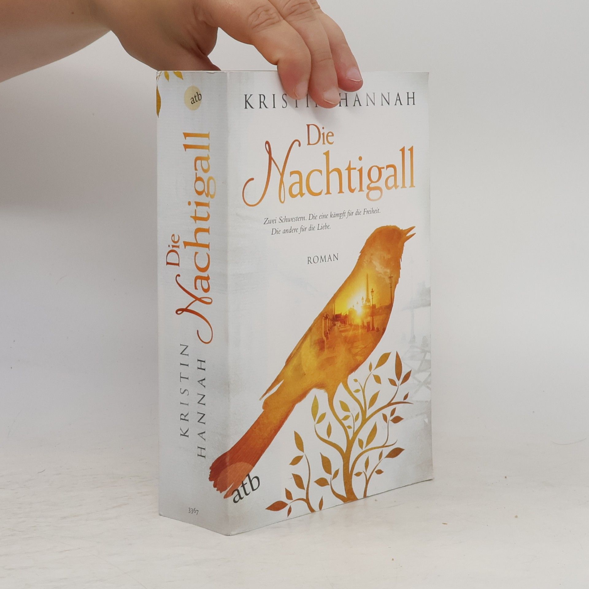 Kristin Hannah Die Nachtigall