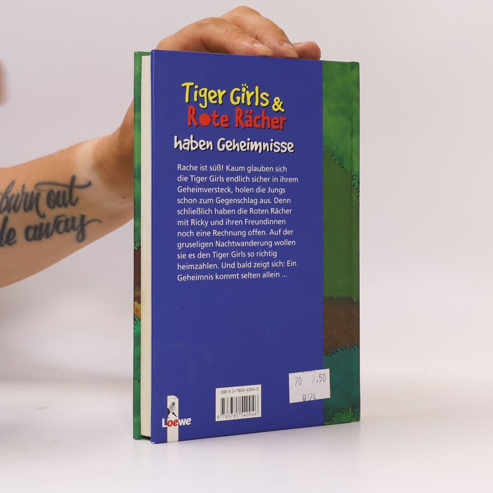 Ulli Schubert Tiger Girls & Rote Rächer haben Geheimnisse
