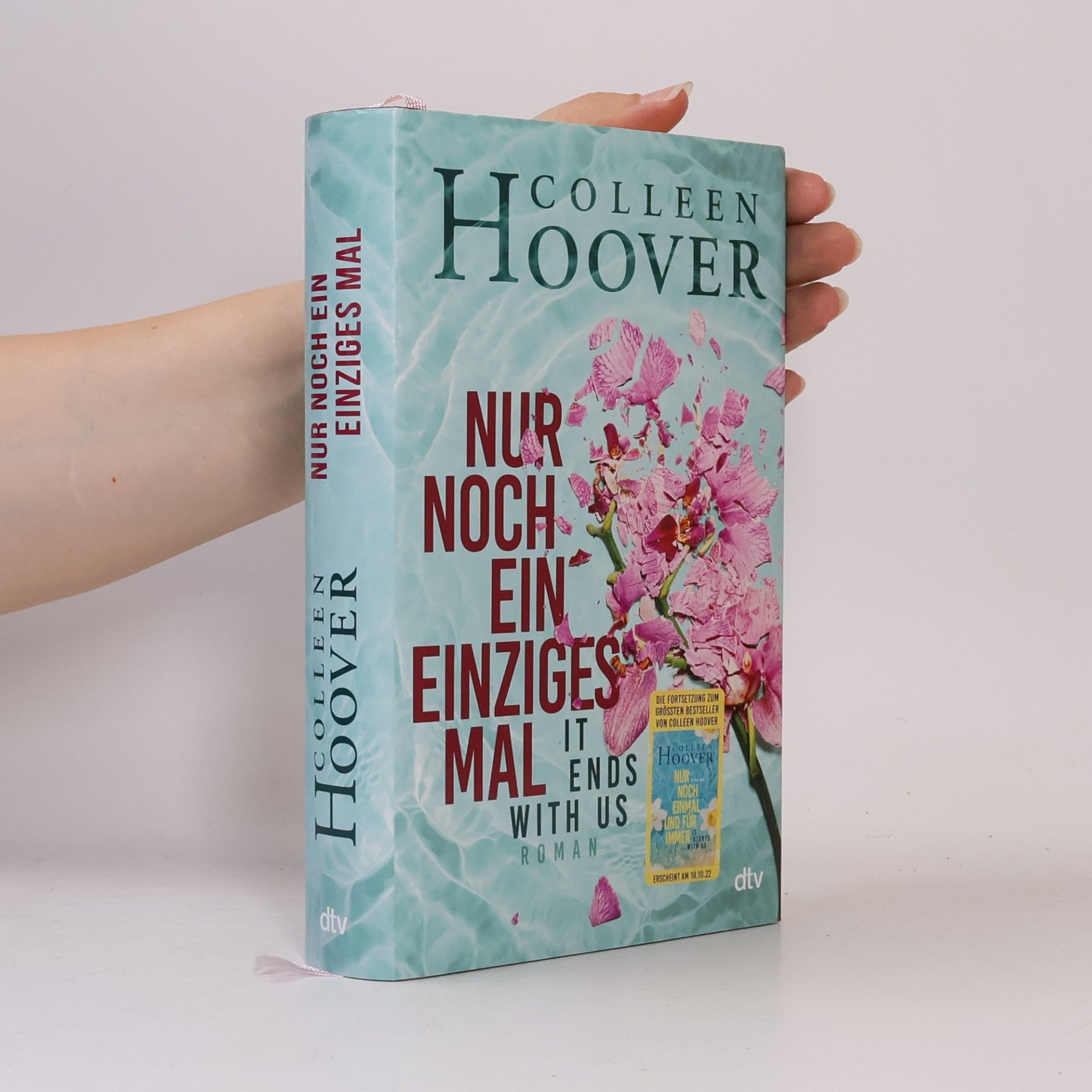 Colleen Hoover Nur noch ein einziges Mal