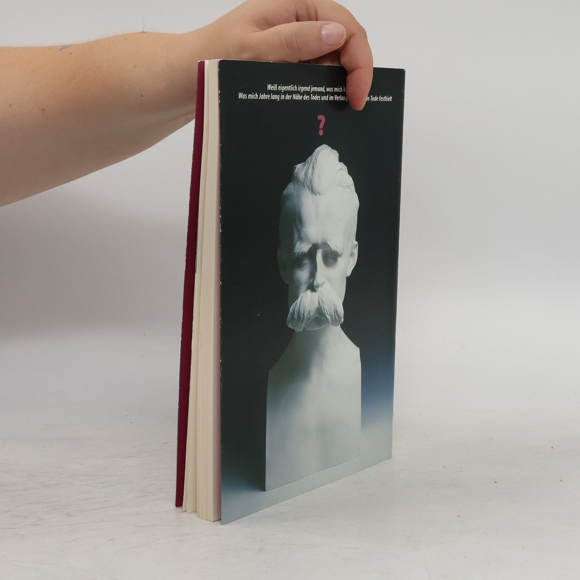Joachim Köhler Wer war Friedrich Nietzsche?