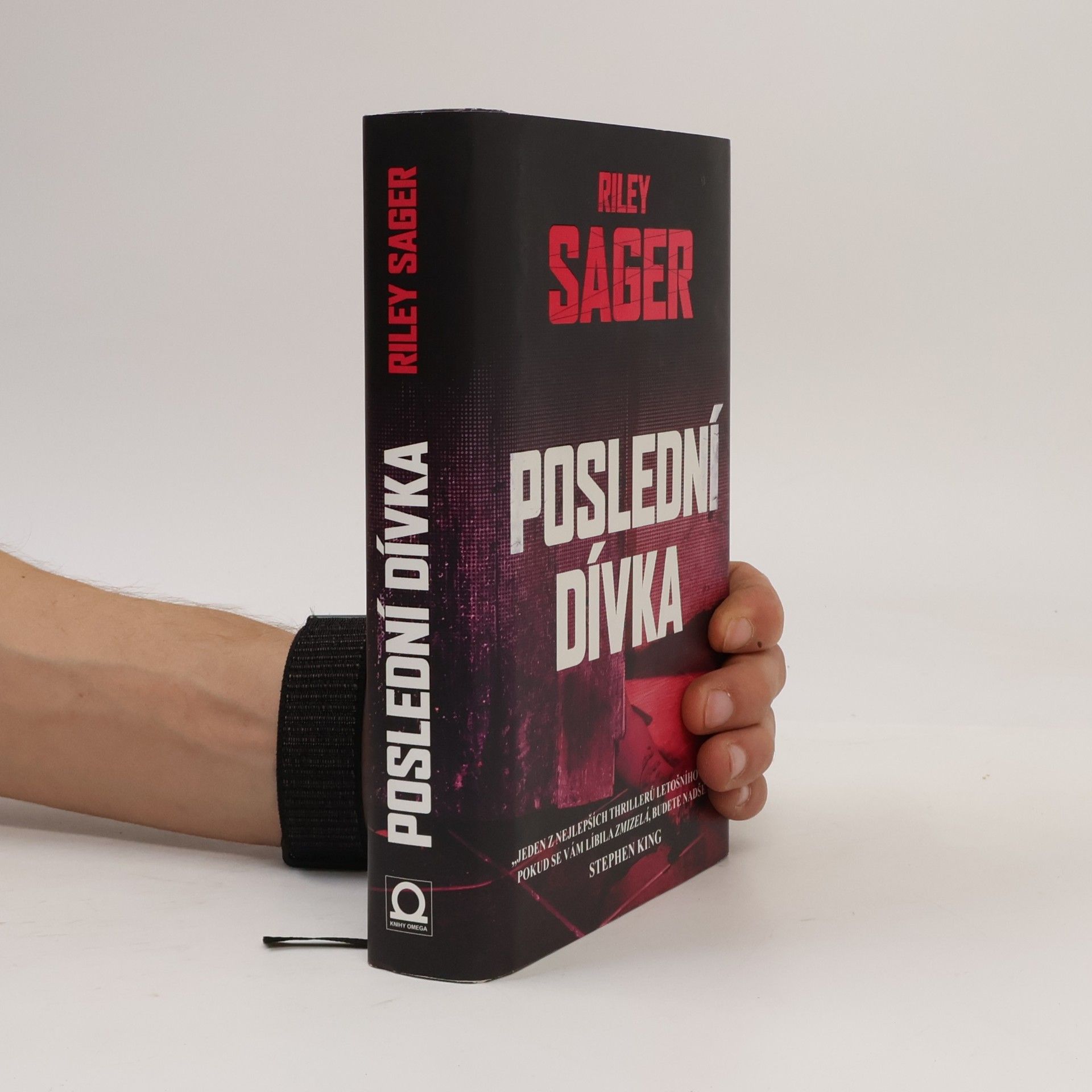 Todd Ritter Poslední dívka
