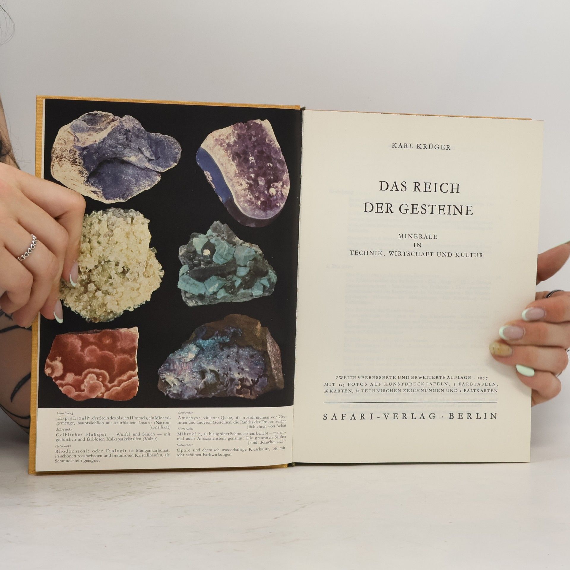 Karl Krüger Das Reich der Gesteine. Minerale in Technik, Wirtschaft und Kultur