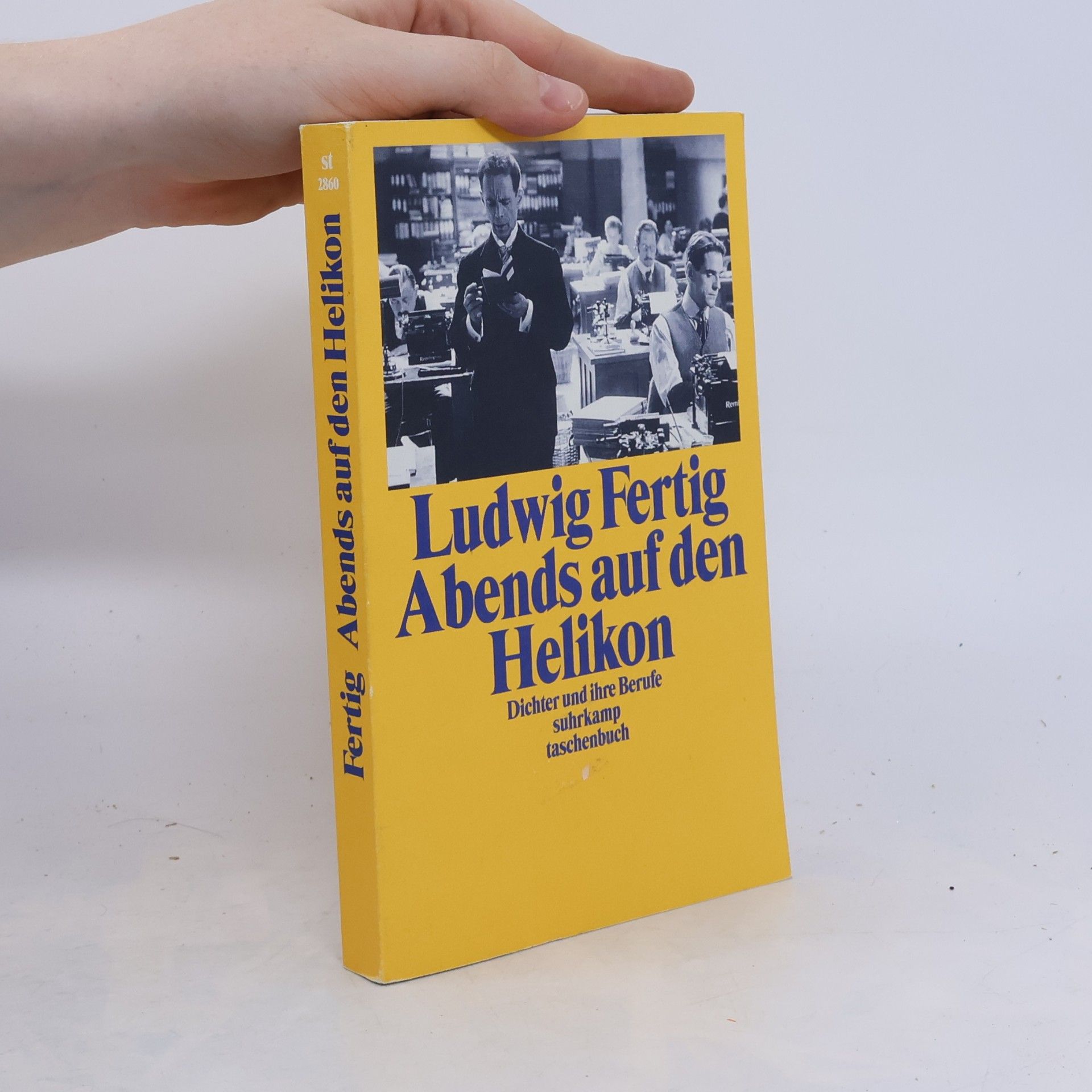 Ludwig Fertig Abends auf dem Helikon