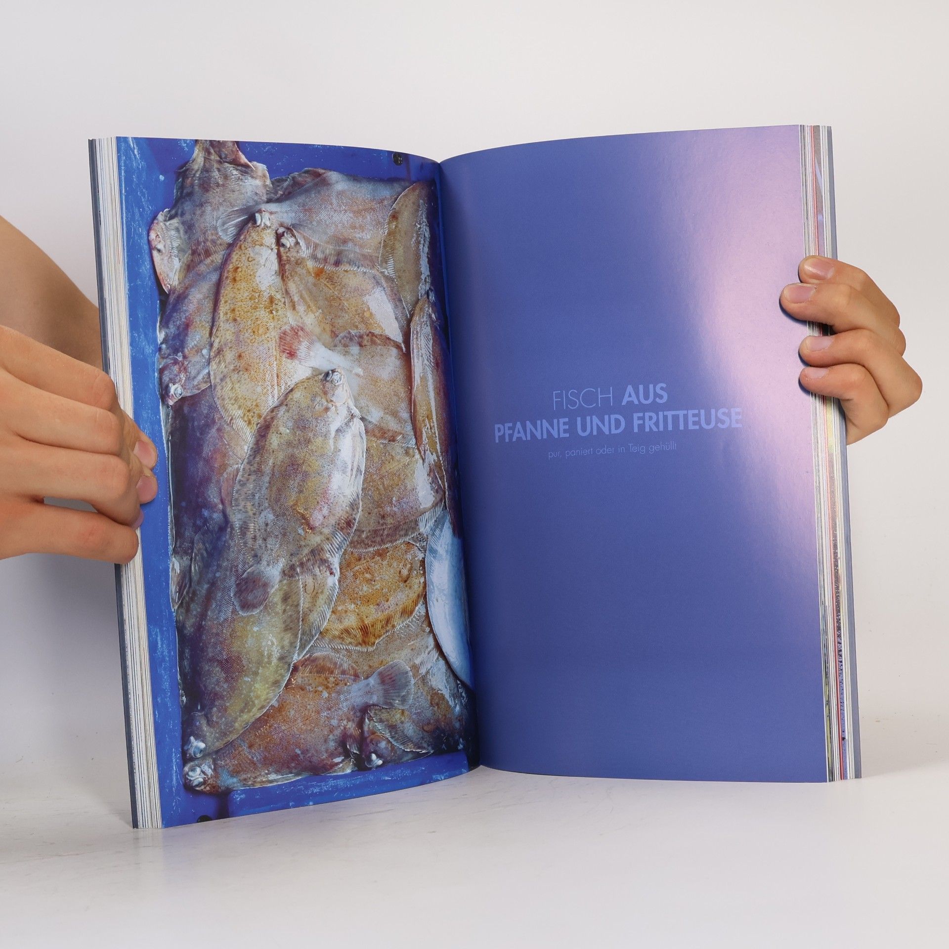 Delphine de Montalier Fisch & Meer
