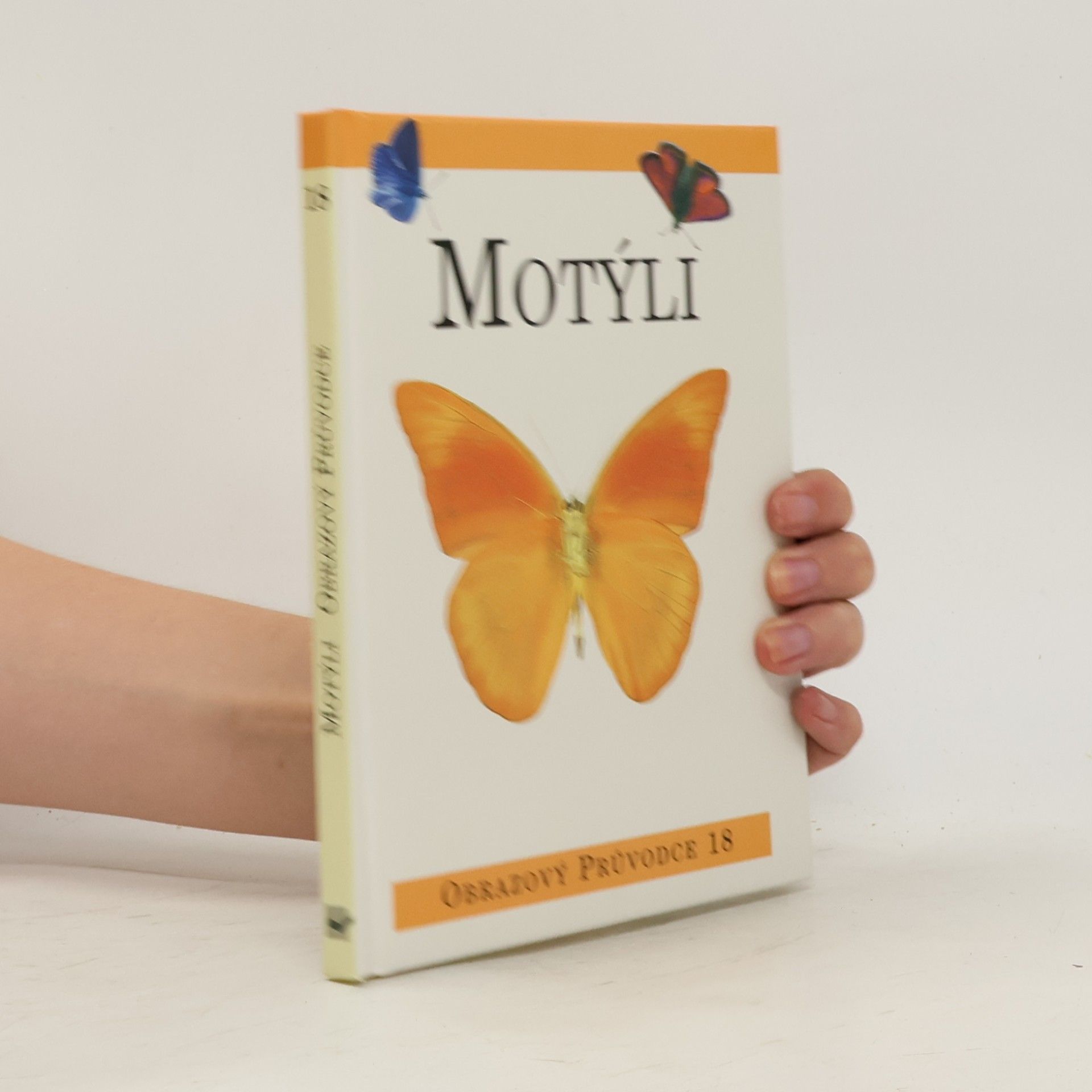 Antonín Kůrka Motýli