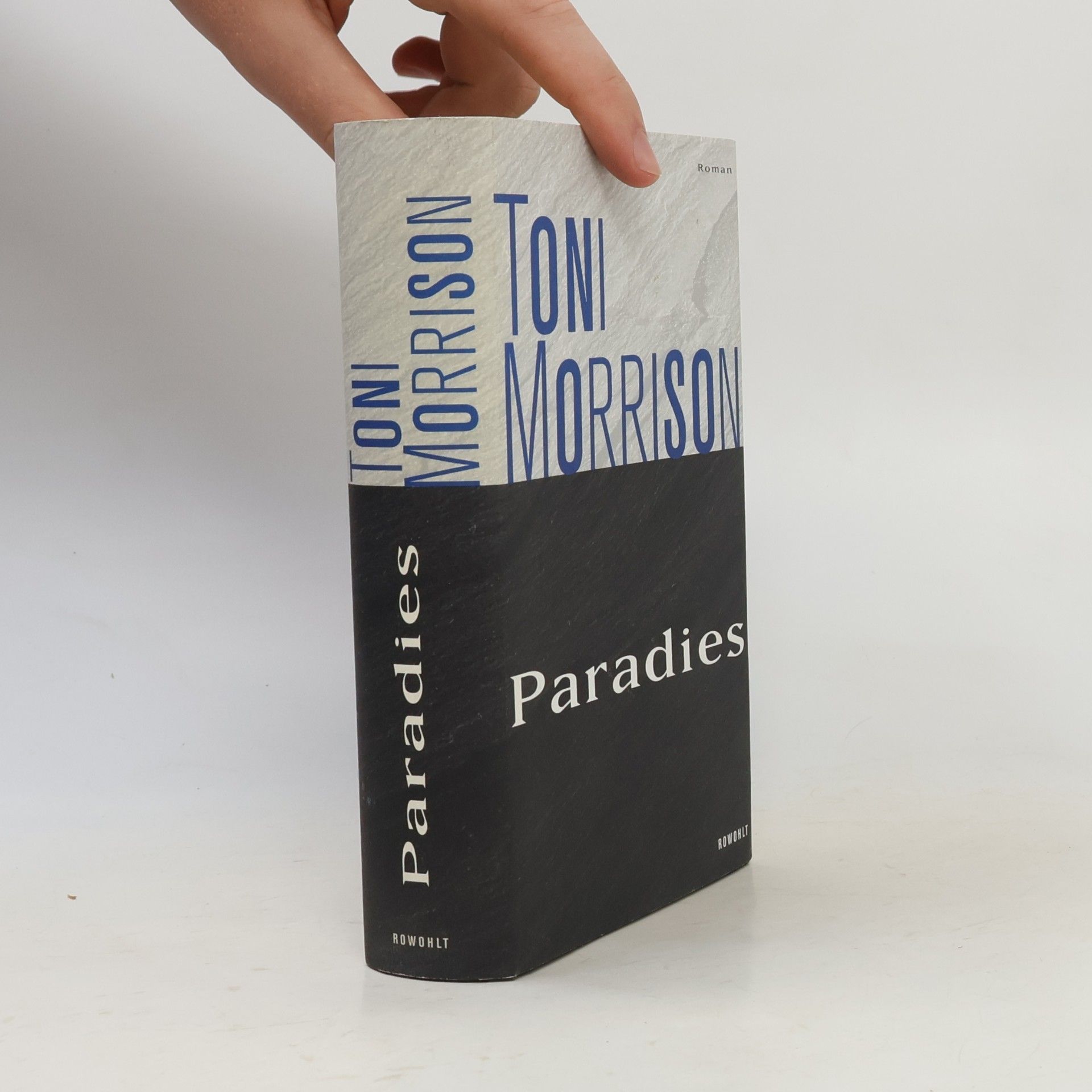 Toni Morrison Paradies