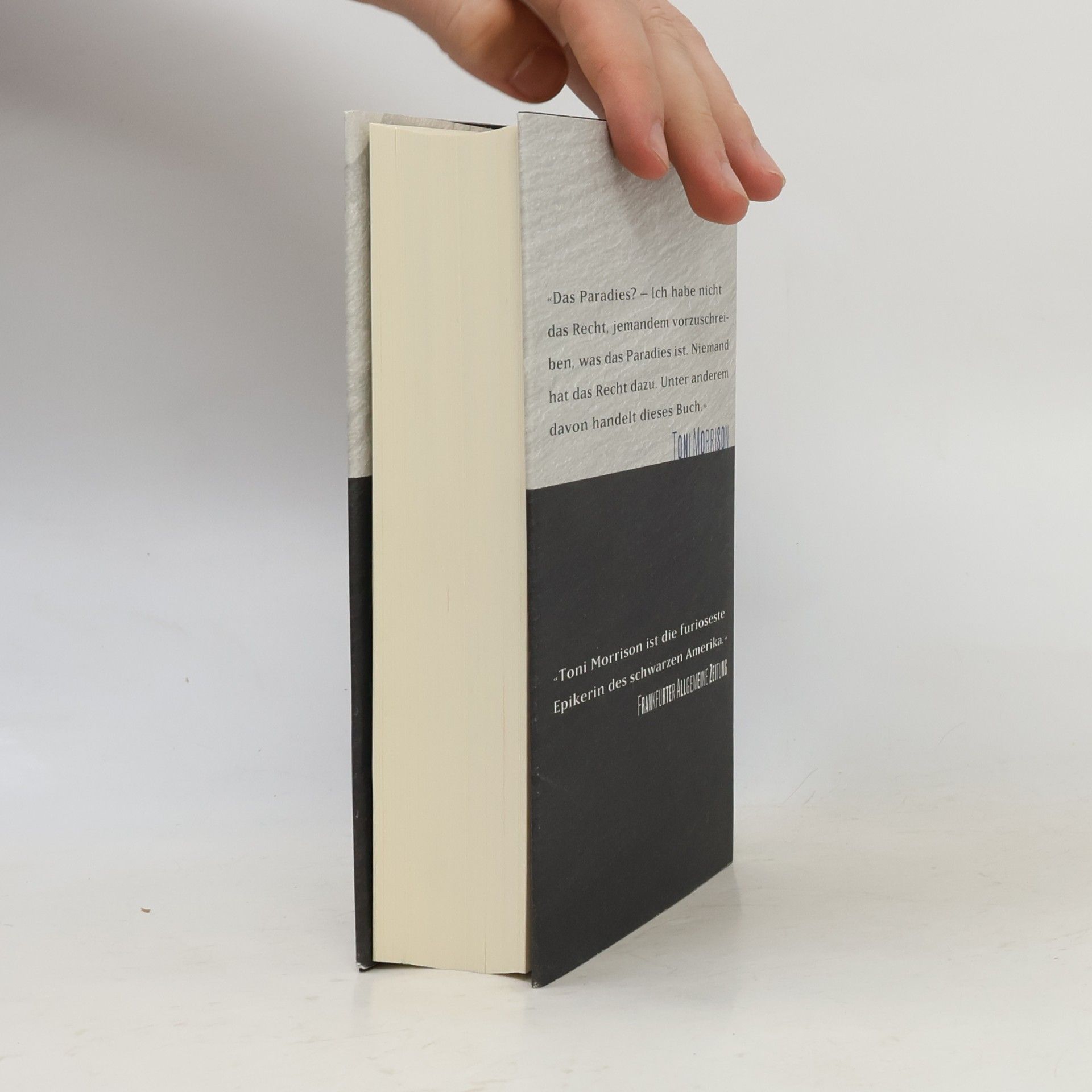 Toni Morrison Paradies