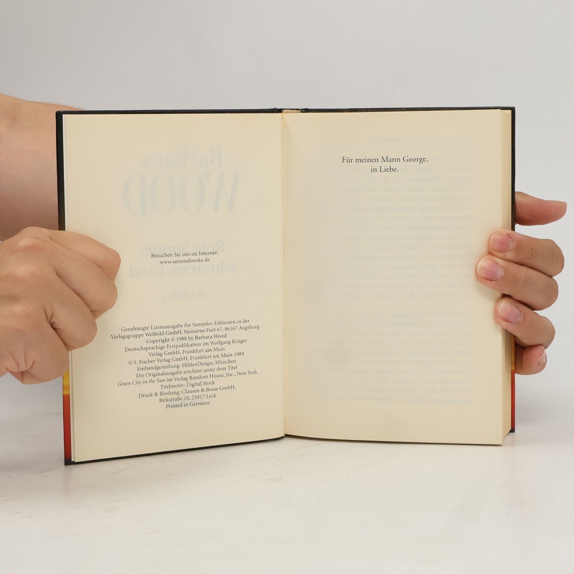 Barbara Wood Rote Sonne, schwarzes Land 1