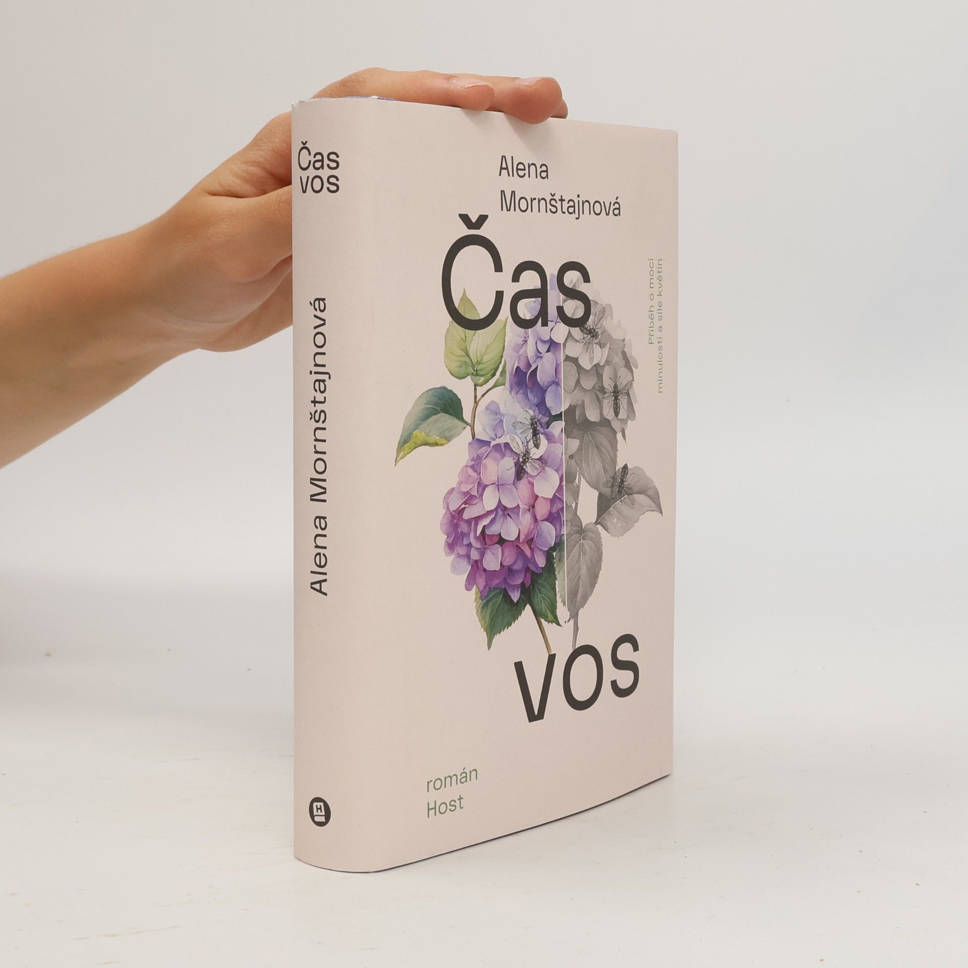 Čas vos