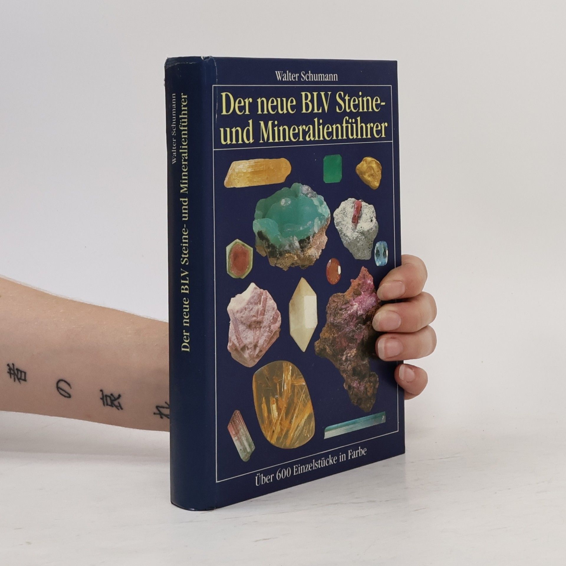 Walter Schumann Der neue BLV Steine- und Mineralienführer