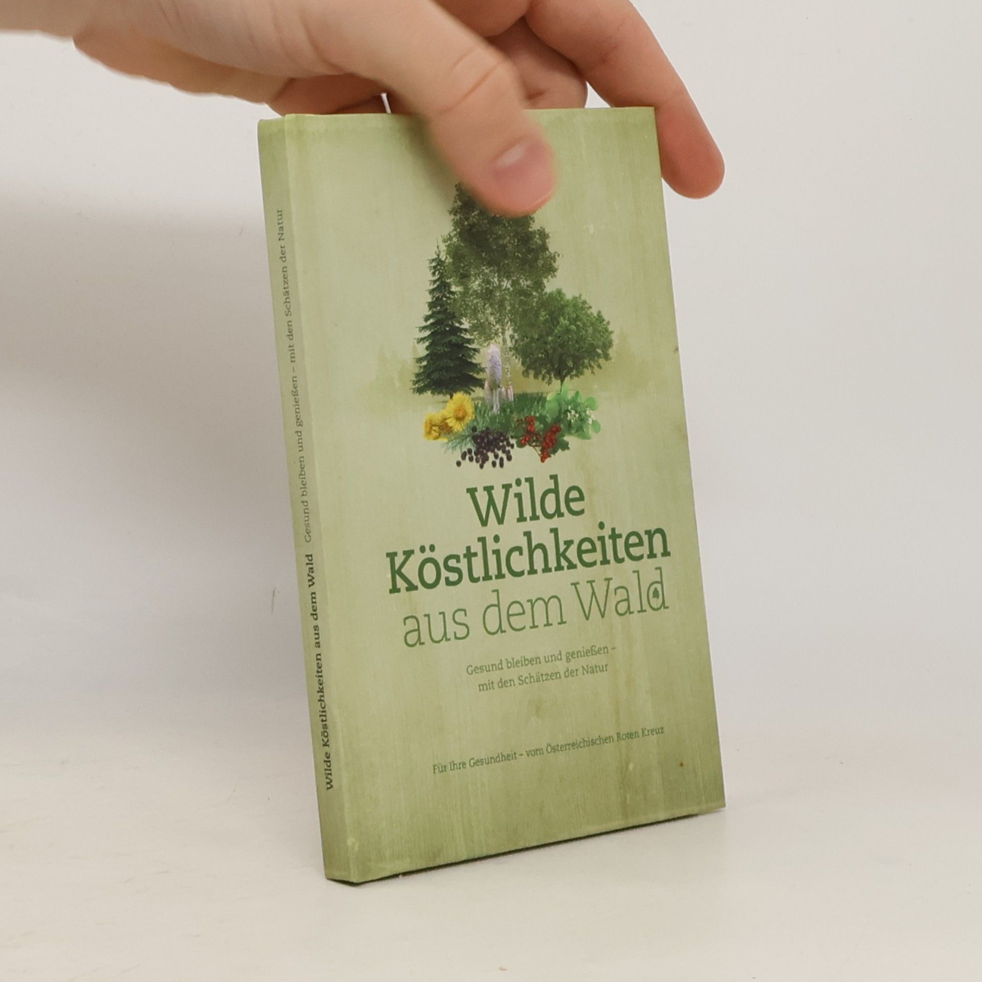 Wilde Köstlichkeiten aus dem Wald