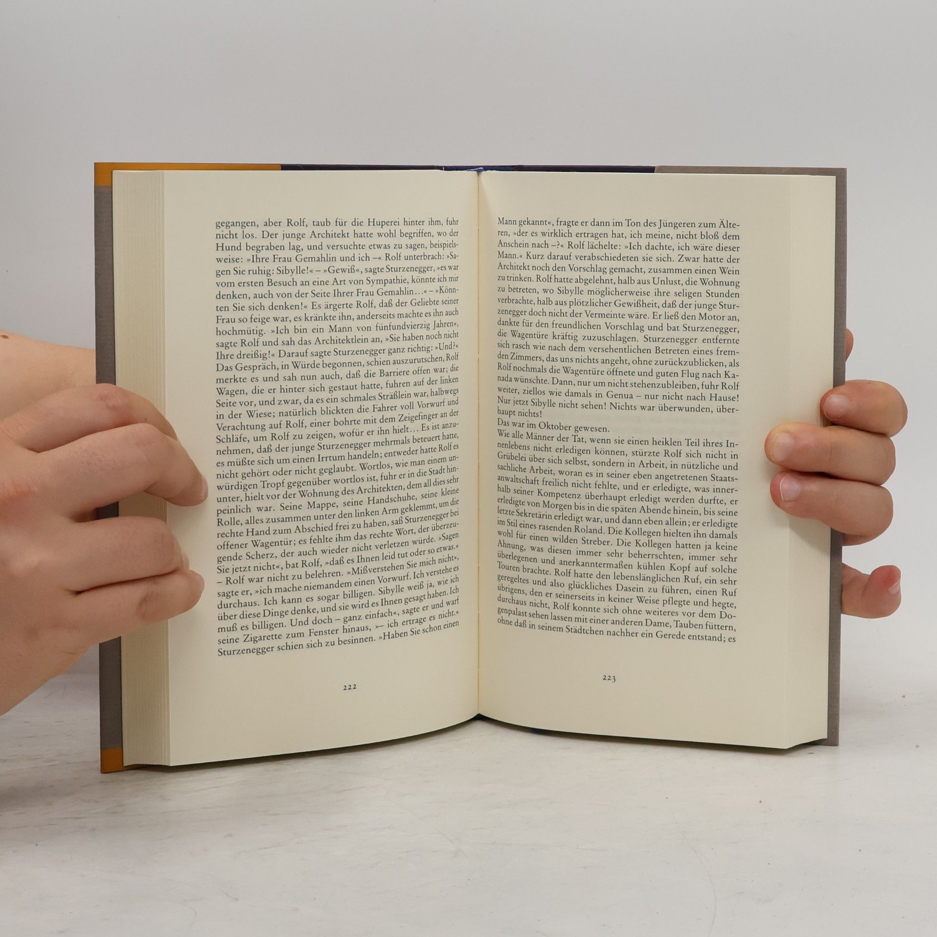 Max Frisch Stiller