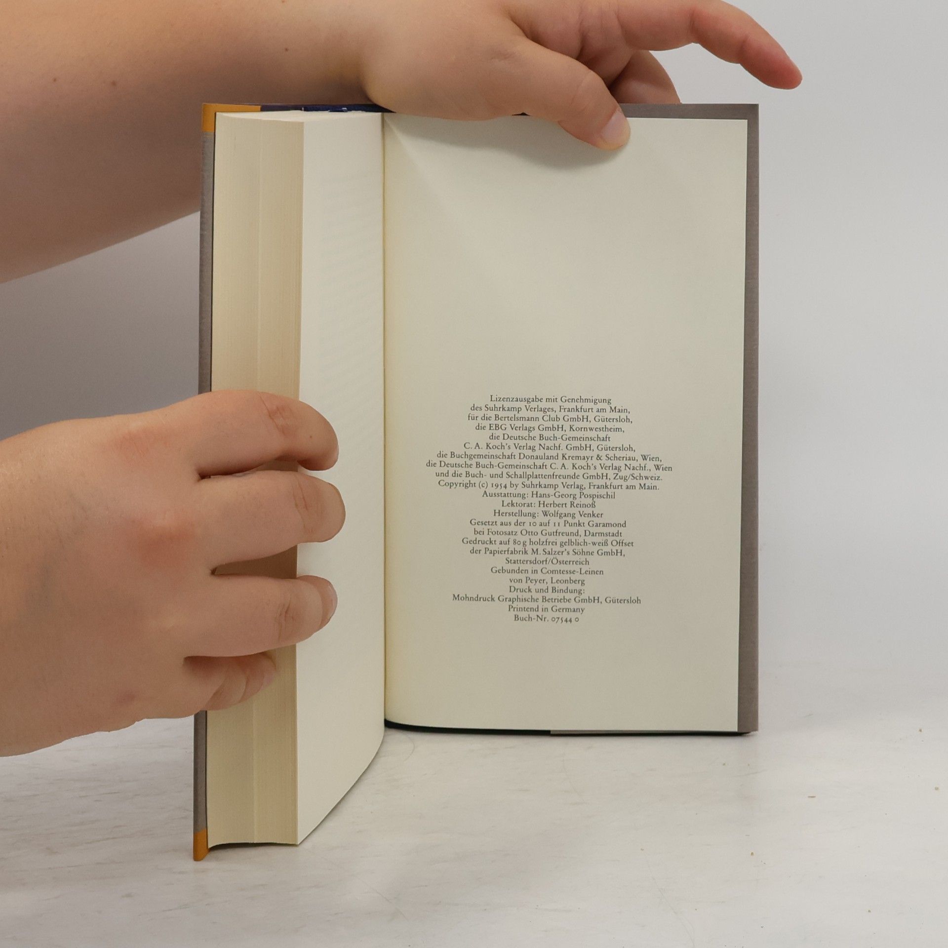 Max Frisch Stiller