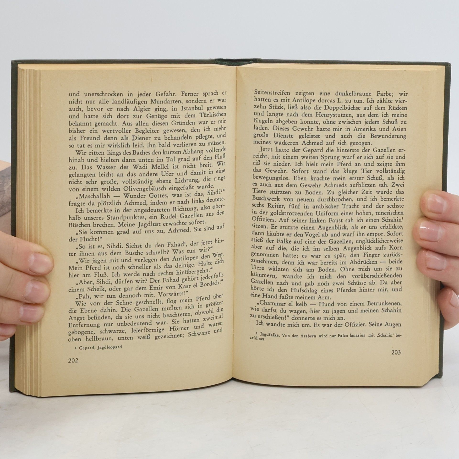 Karl May Sand des Verderbens