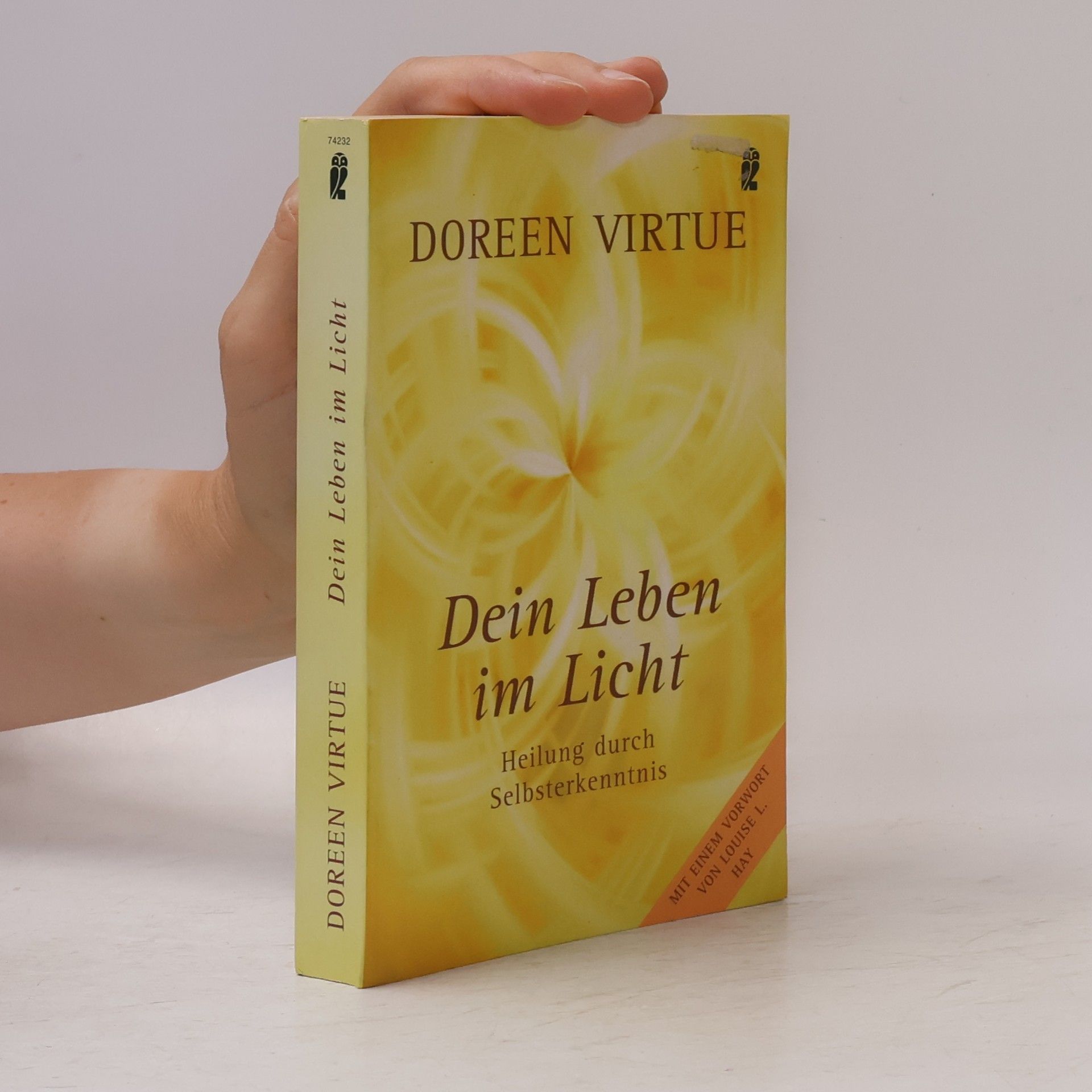 Doreen Virtue Dein Leben im Licht
