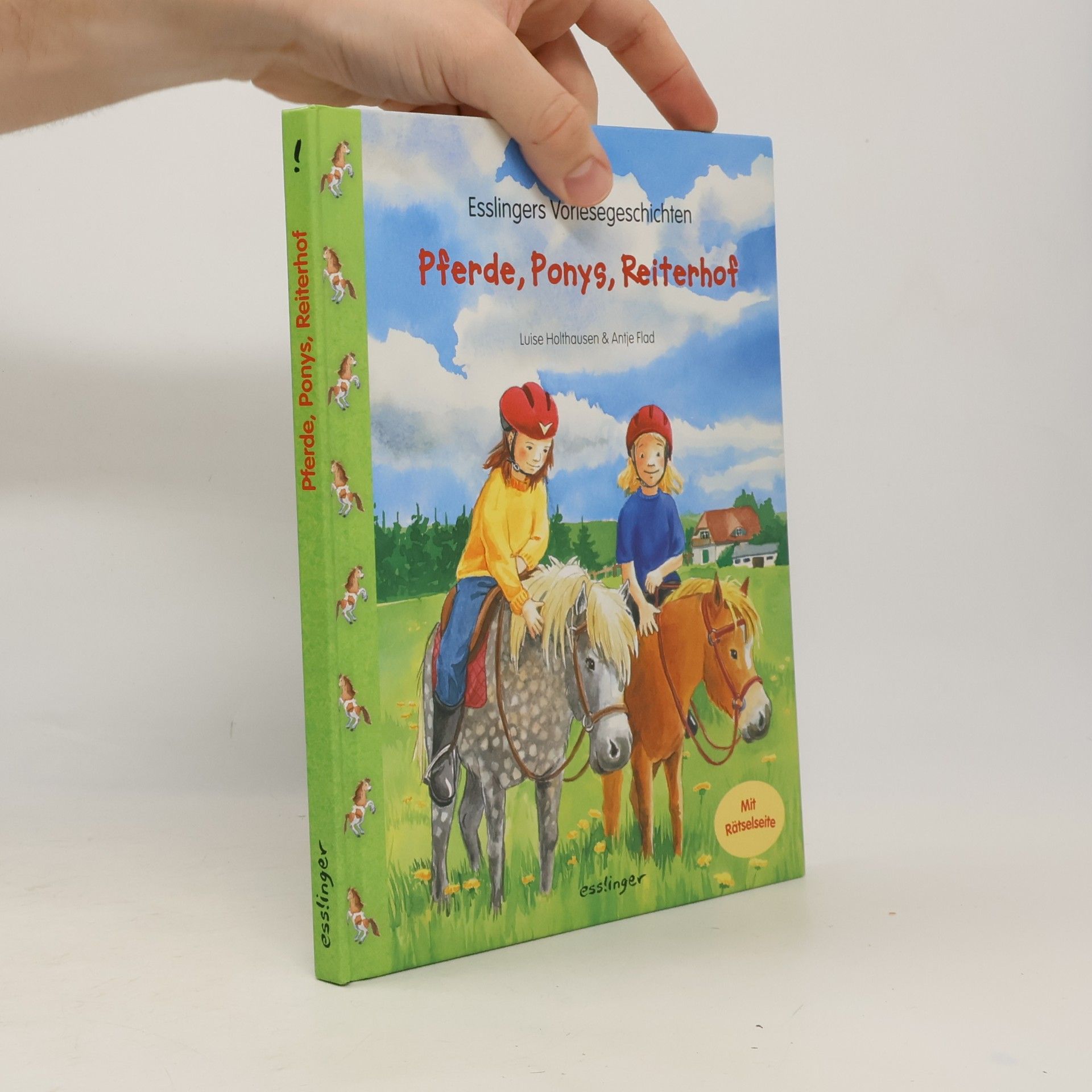 Luise Holthausen Pferde, Ponys, Reiterhof