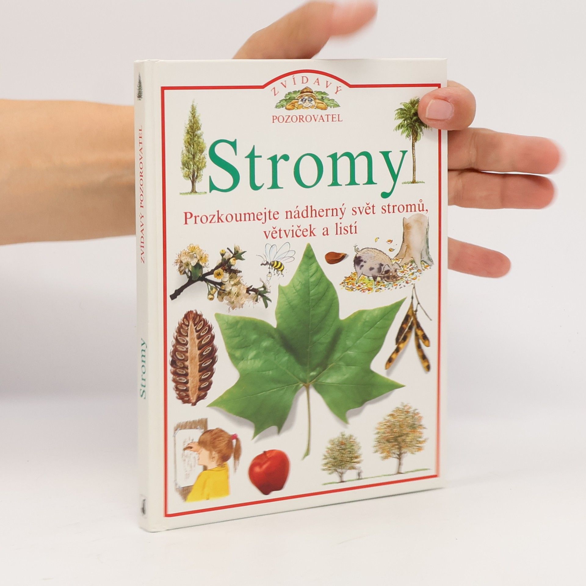 Autorenkollektiv Stromy
