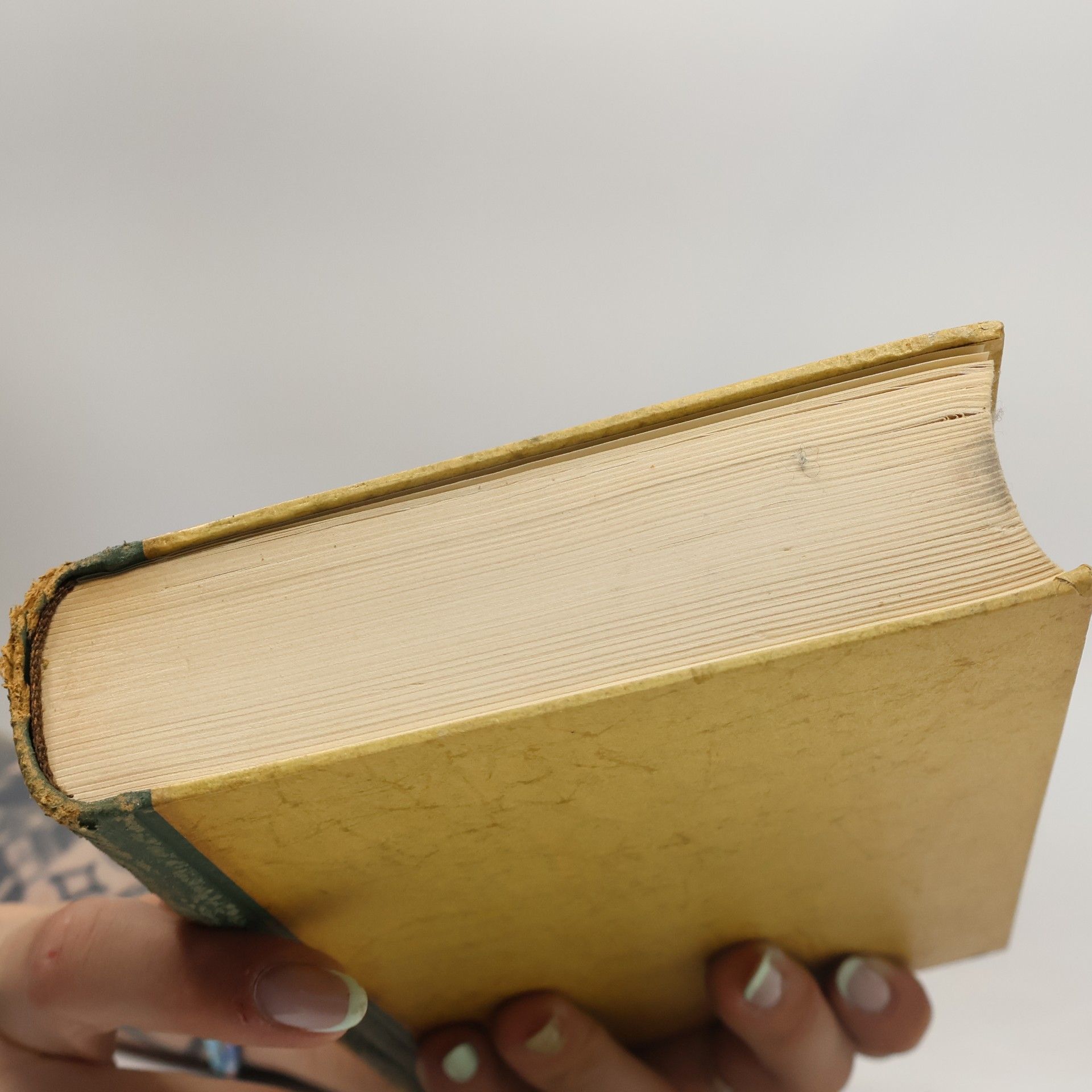 Hans Grimm Die Südafrikanischen Novellen