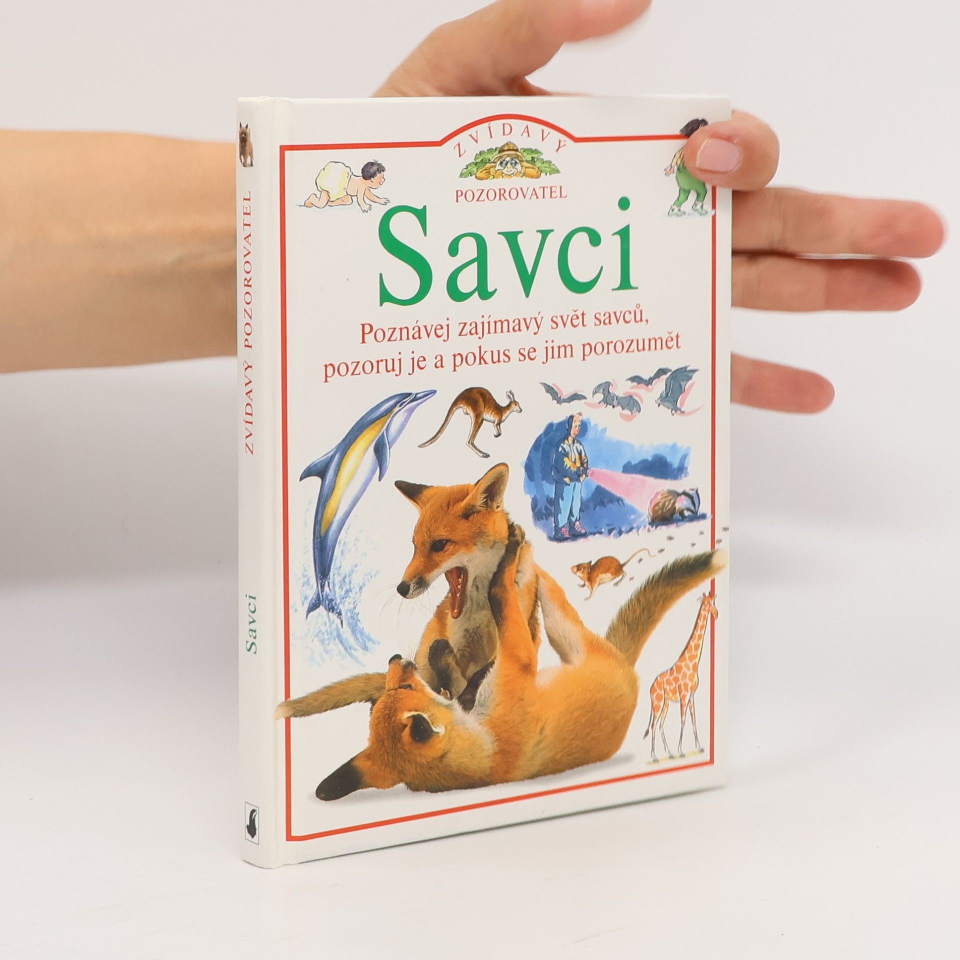 David Burnie Savci