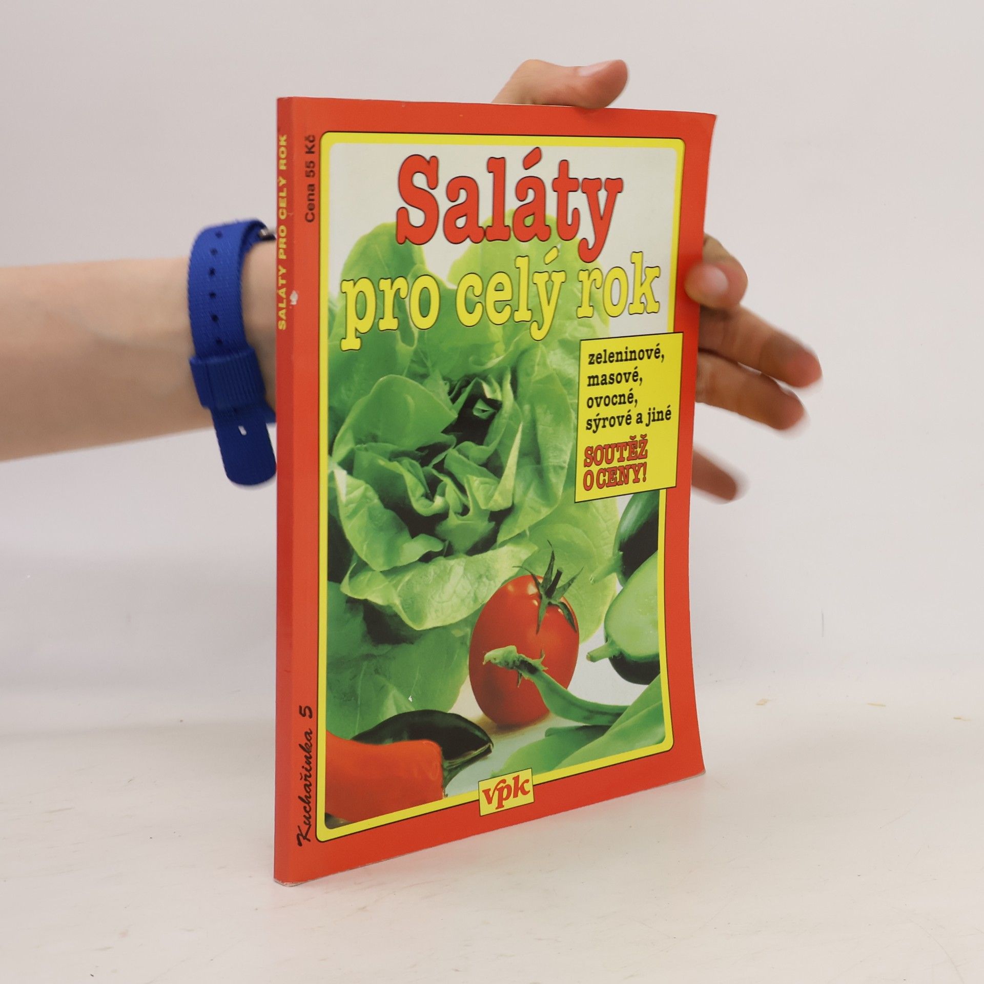 Jiří Kareš Saláty pro celý rok