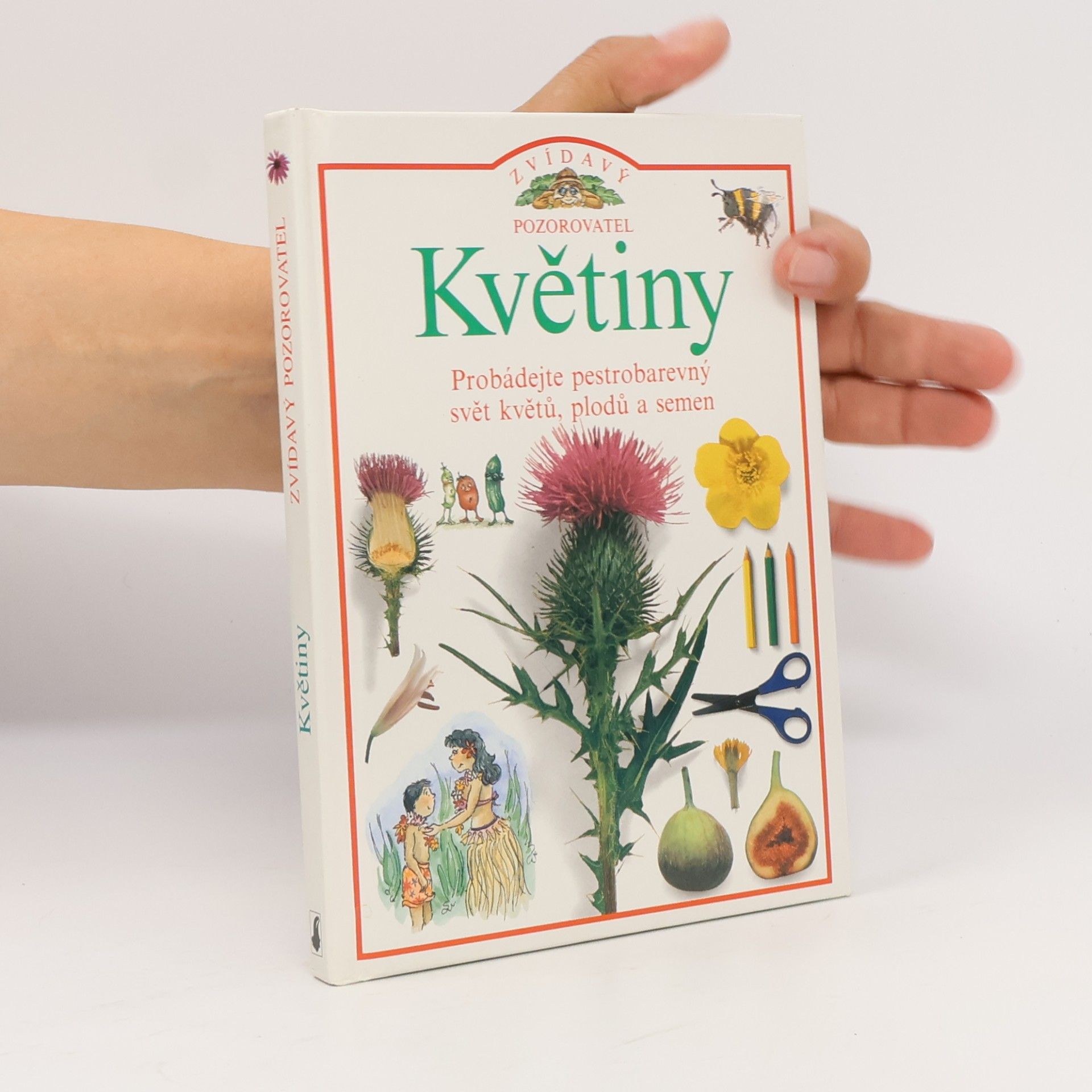 David Burnie Květiny