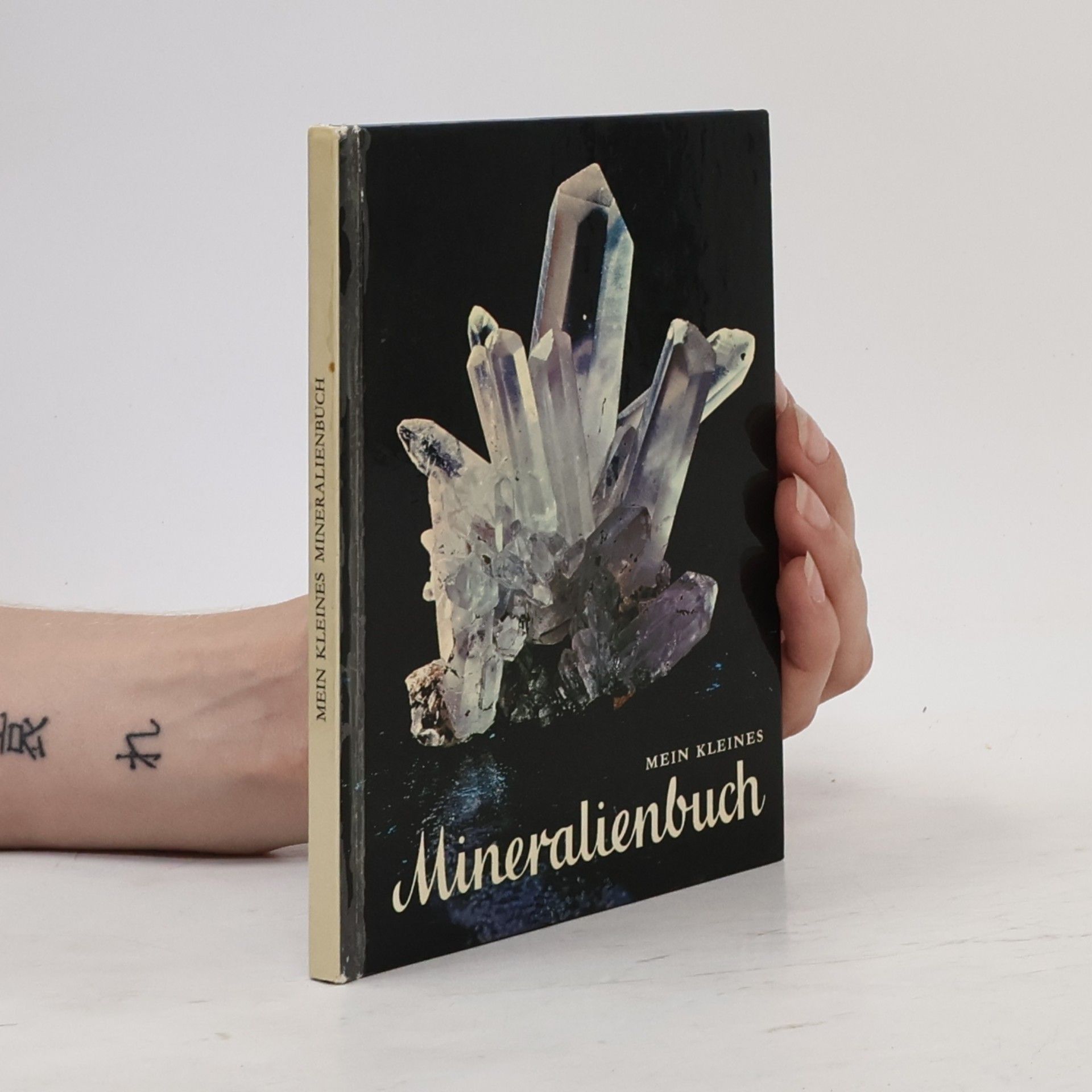Auteurscollectief Mein kleines Mineralienbuch
