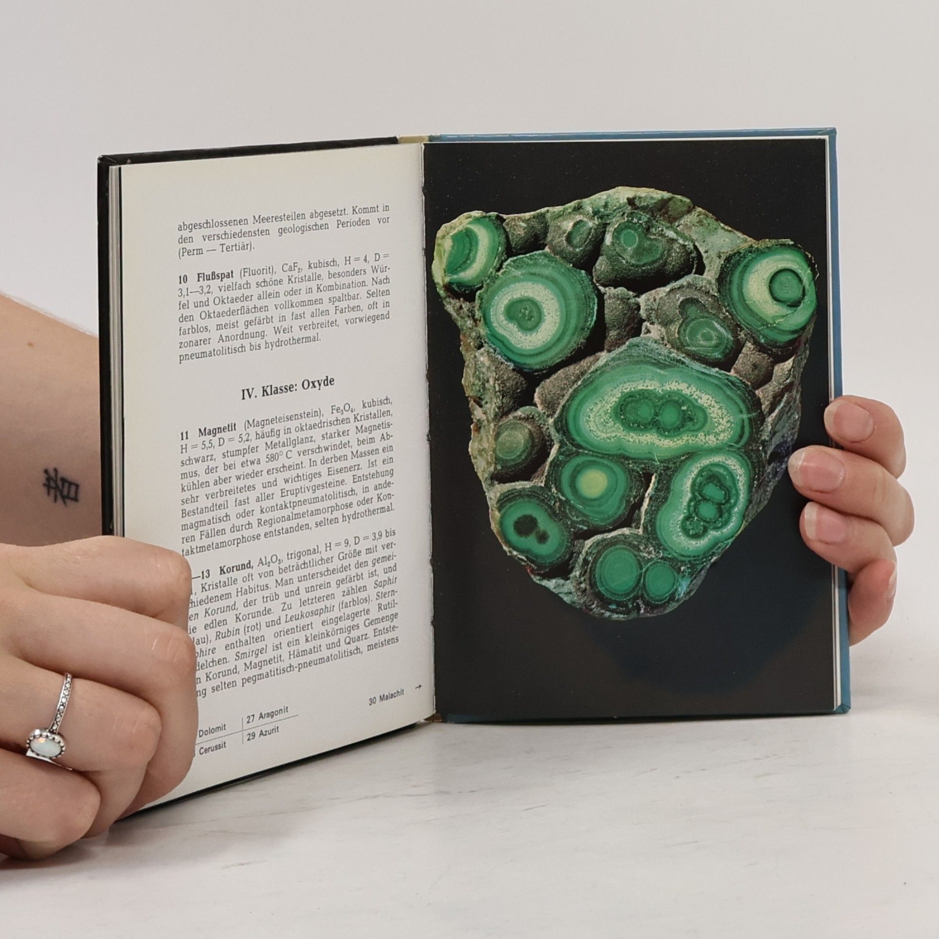 Auteurscollectief Mein kleines Mineralienbuch