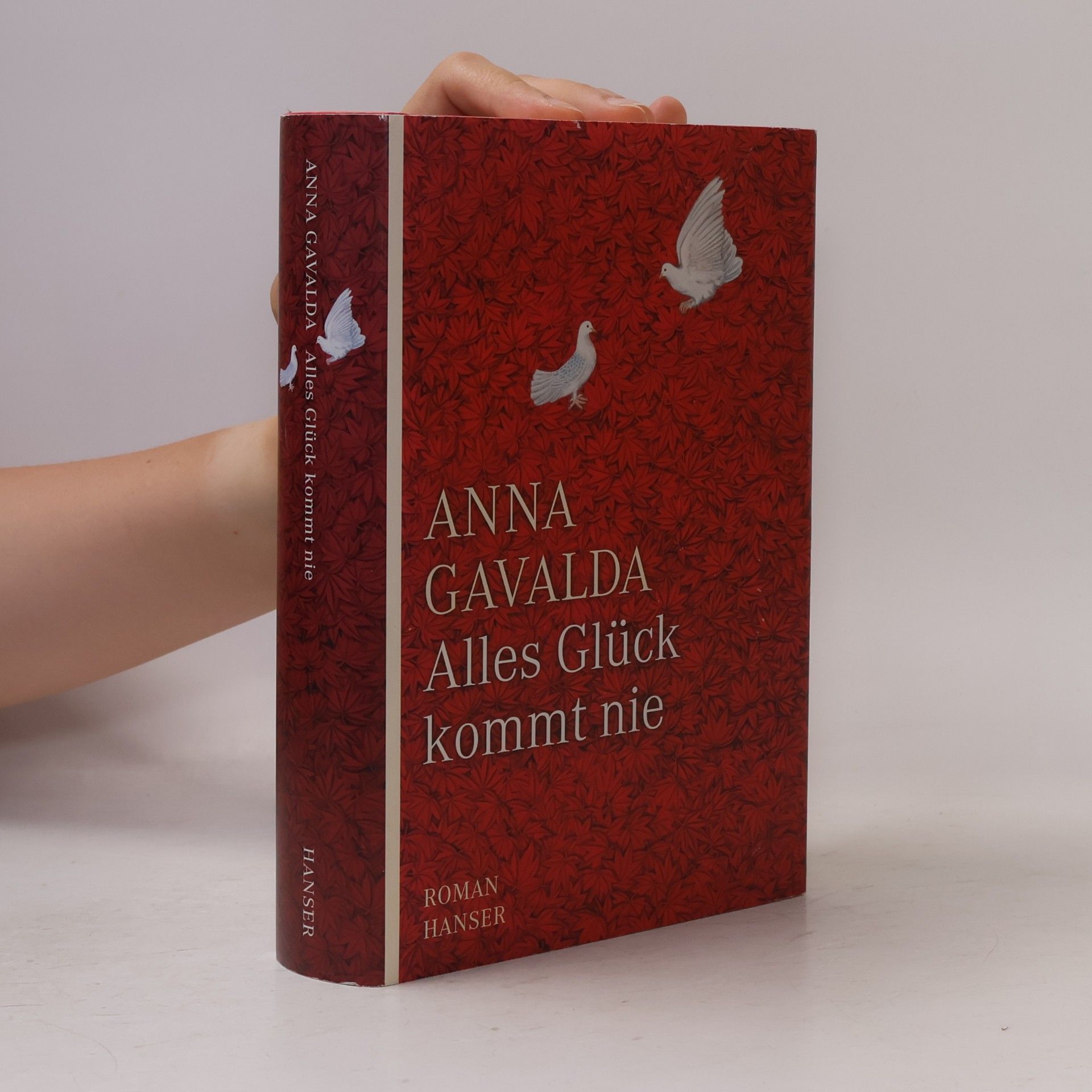 Anna Gavalda Alles Glück kommt nie