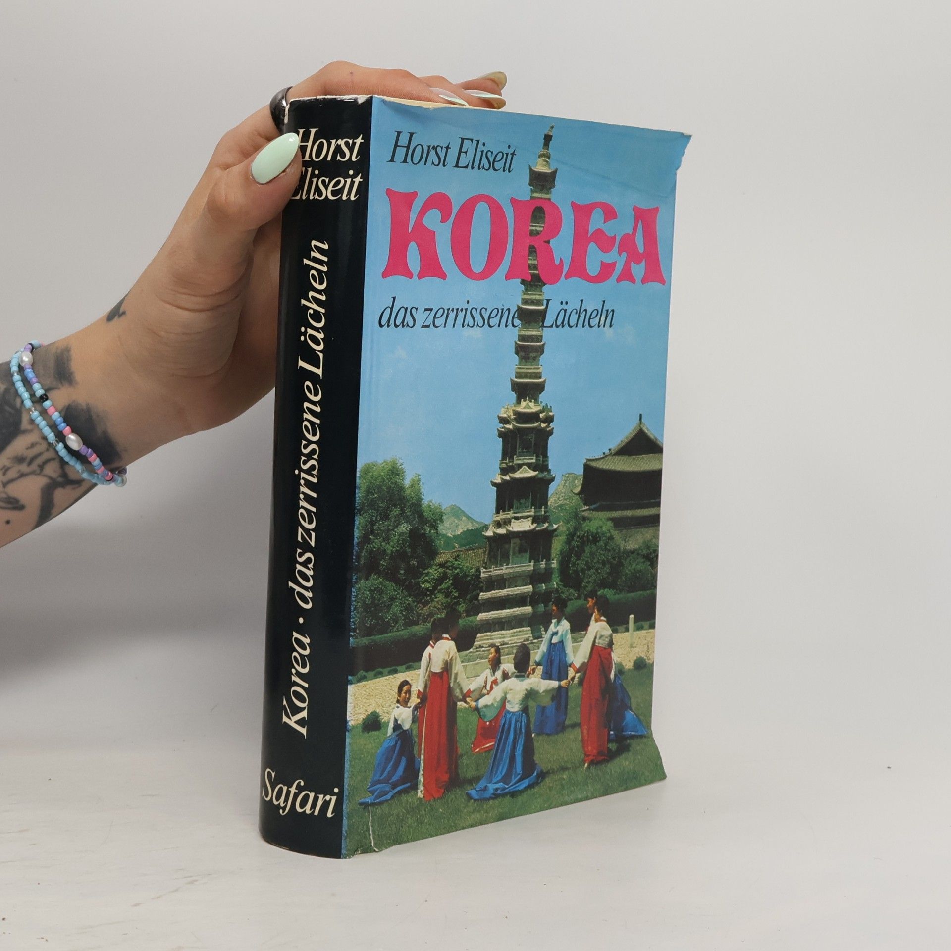 Horst Eliseit Korea, das zerrissene Lächeln