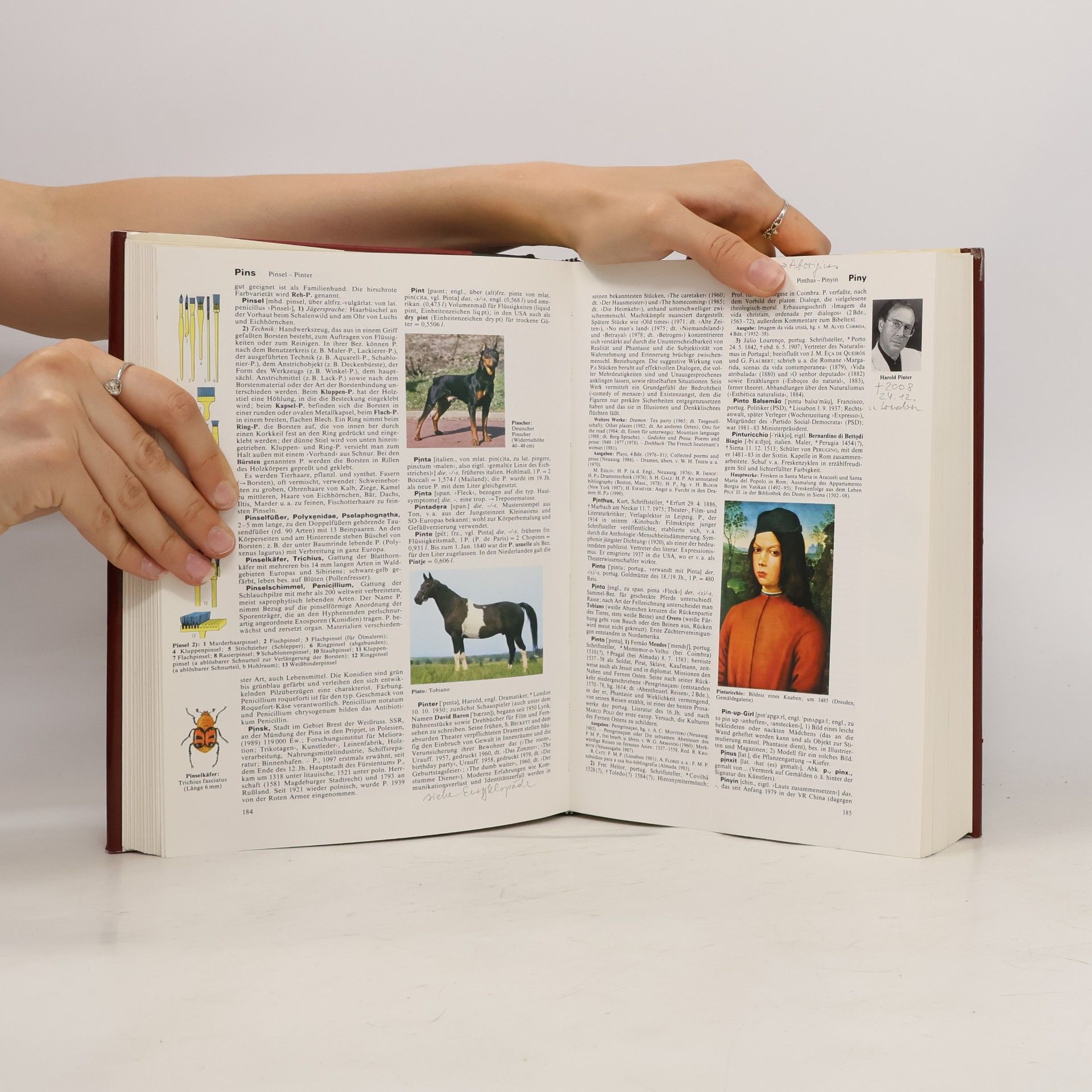 Various authors Brockhaus enyzklopadie 17. PES-RAC