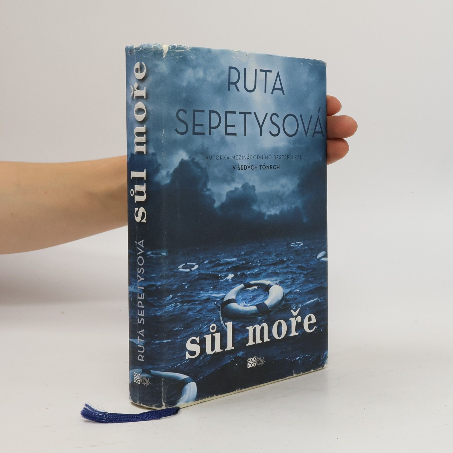 Ruta Sepetys Sůl moře