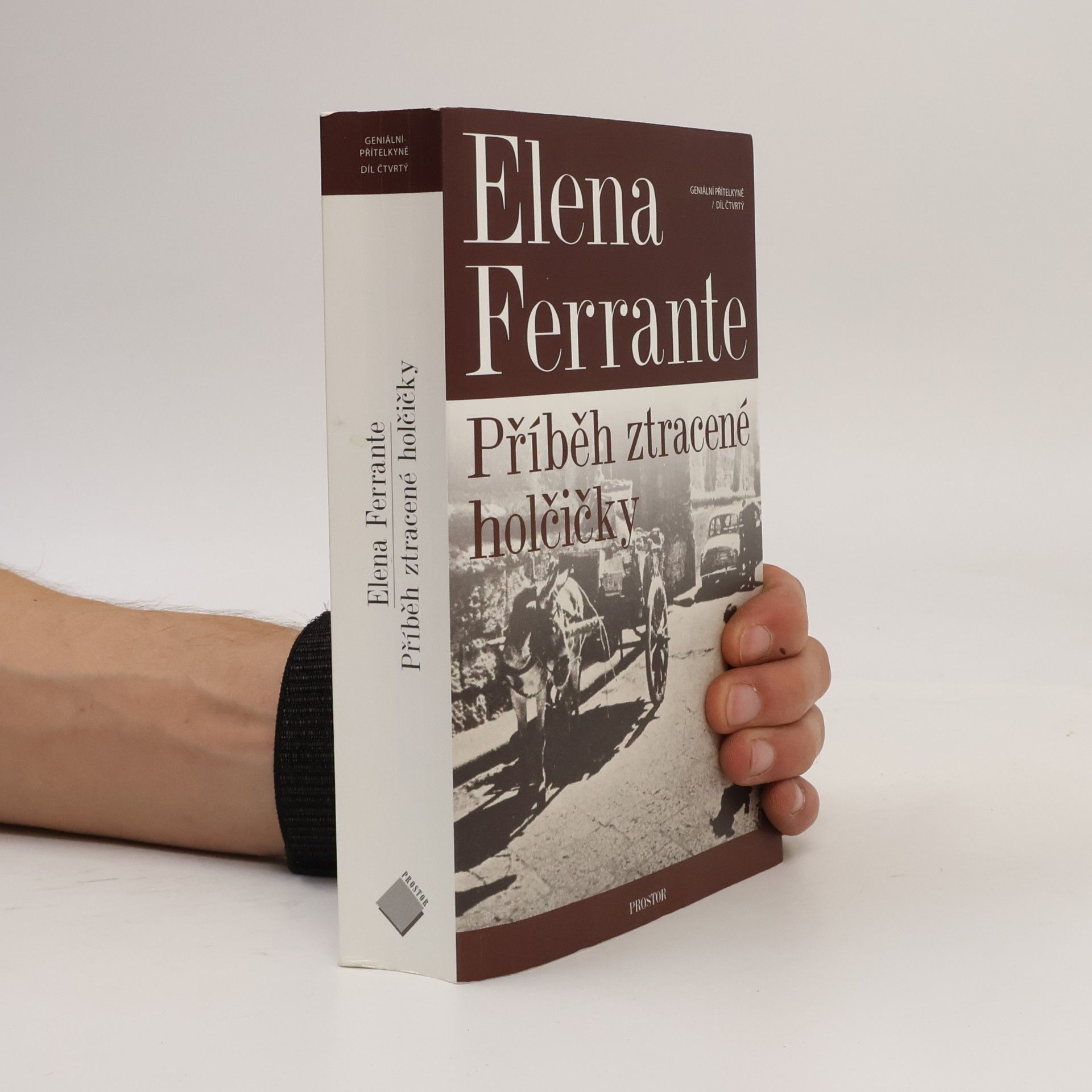 Elena Ferrante Příběh ztracené holčičky. Geniální přítelkyně. 4. díl