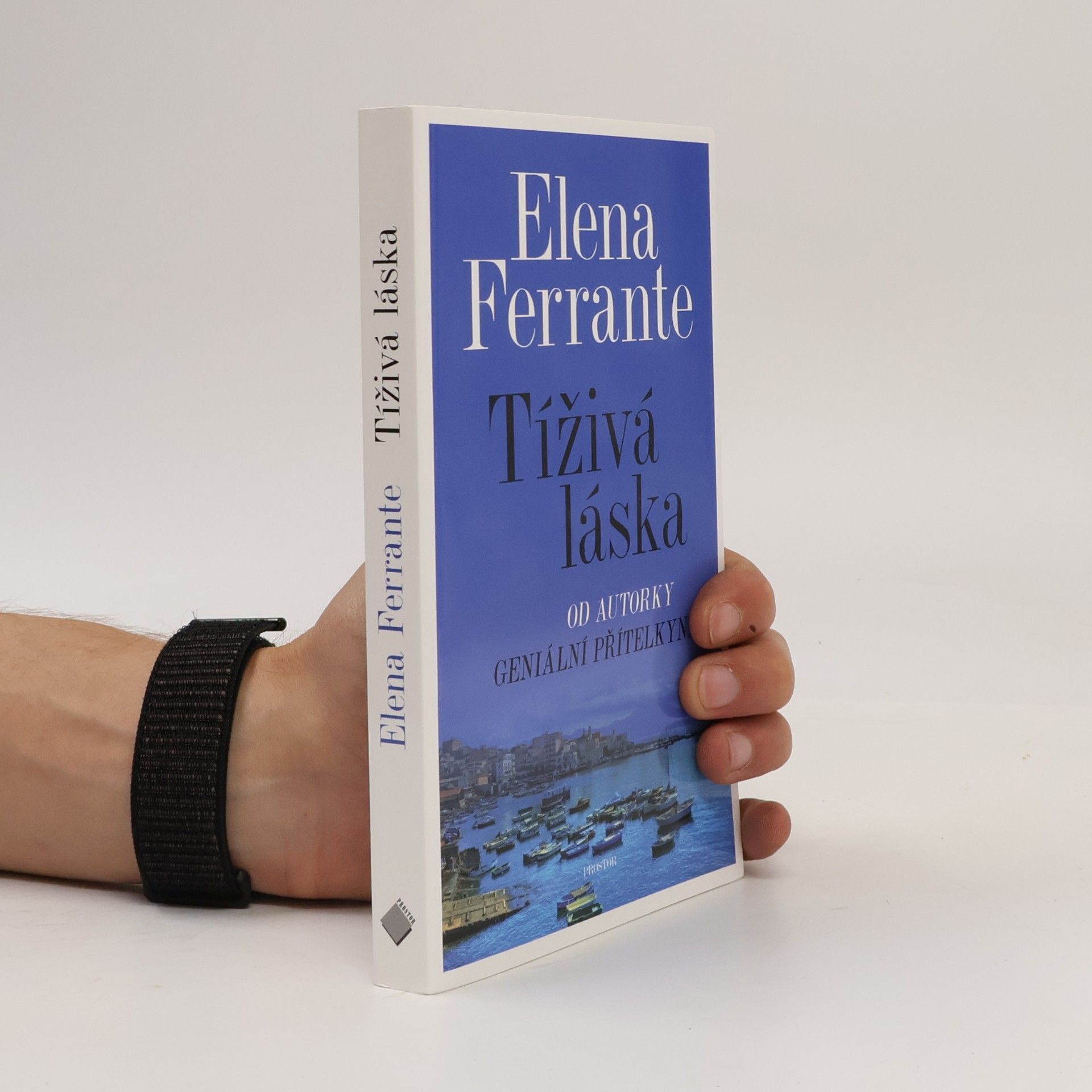 Elena Ferrante Tíživá láska