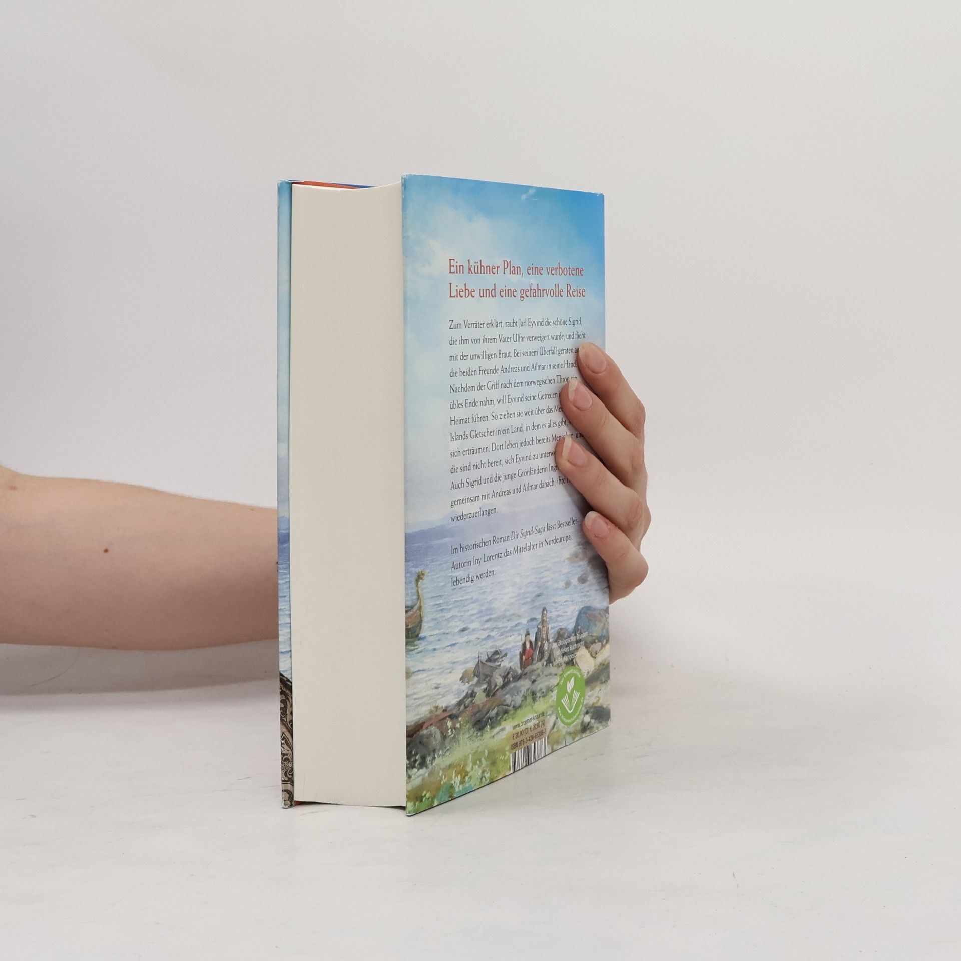 Iny Lorentz Die Saga von Vinland