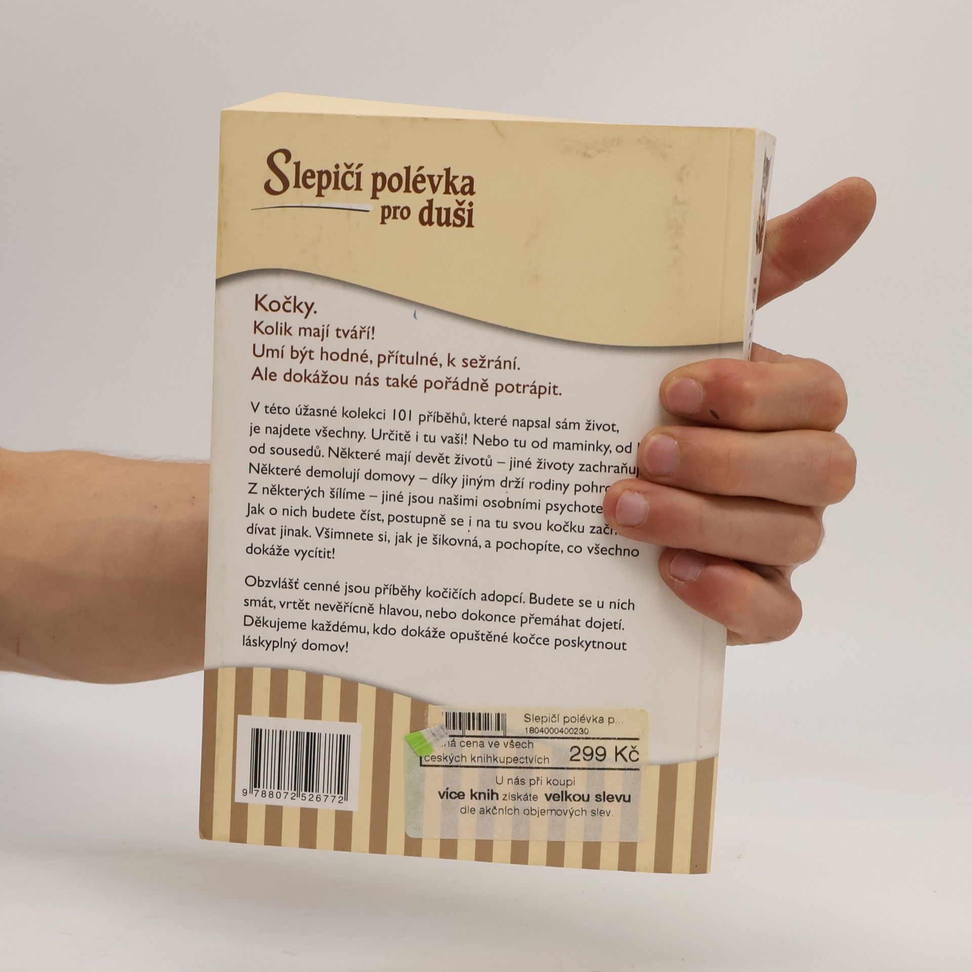 Amy Newmark Slepičí polévka pro duši