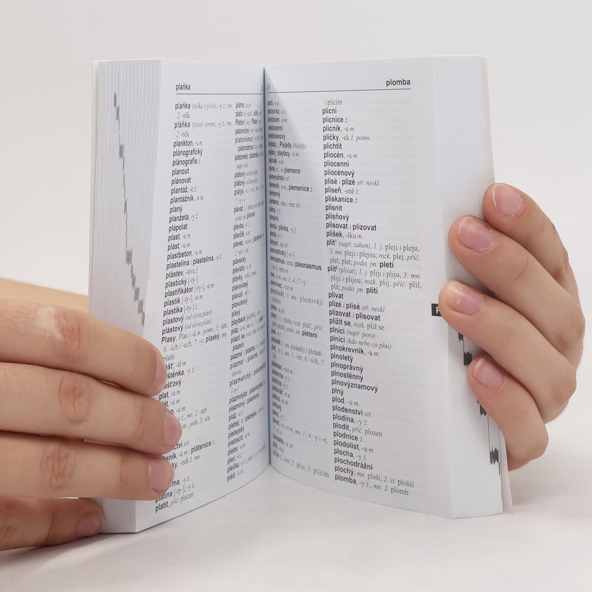 Autorenkollektiv Pravidla českého pravopisu