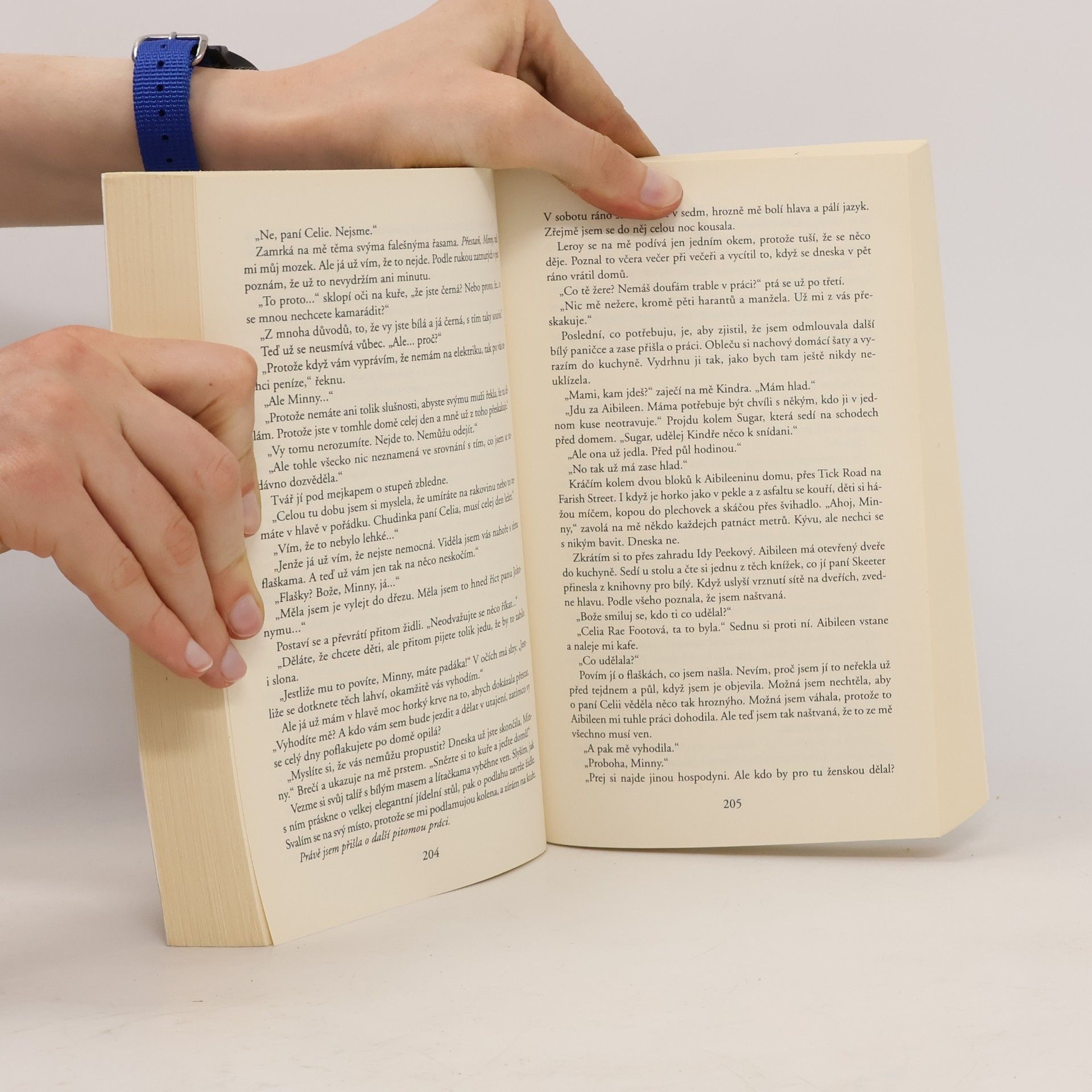 Kathryn Stockett Černobílý svět