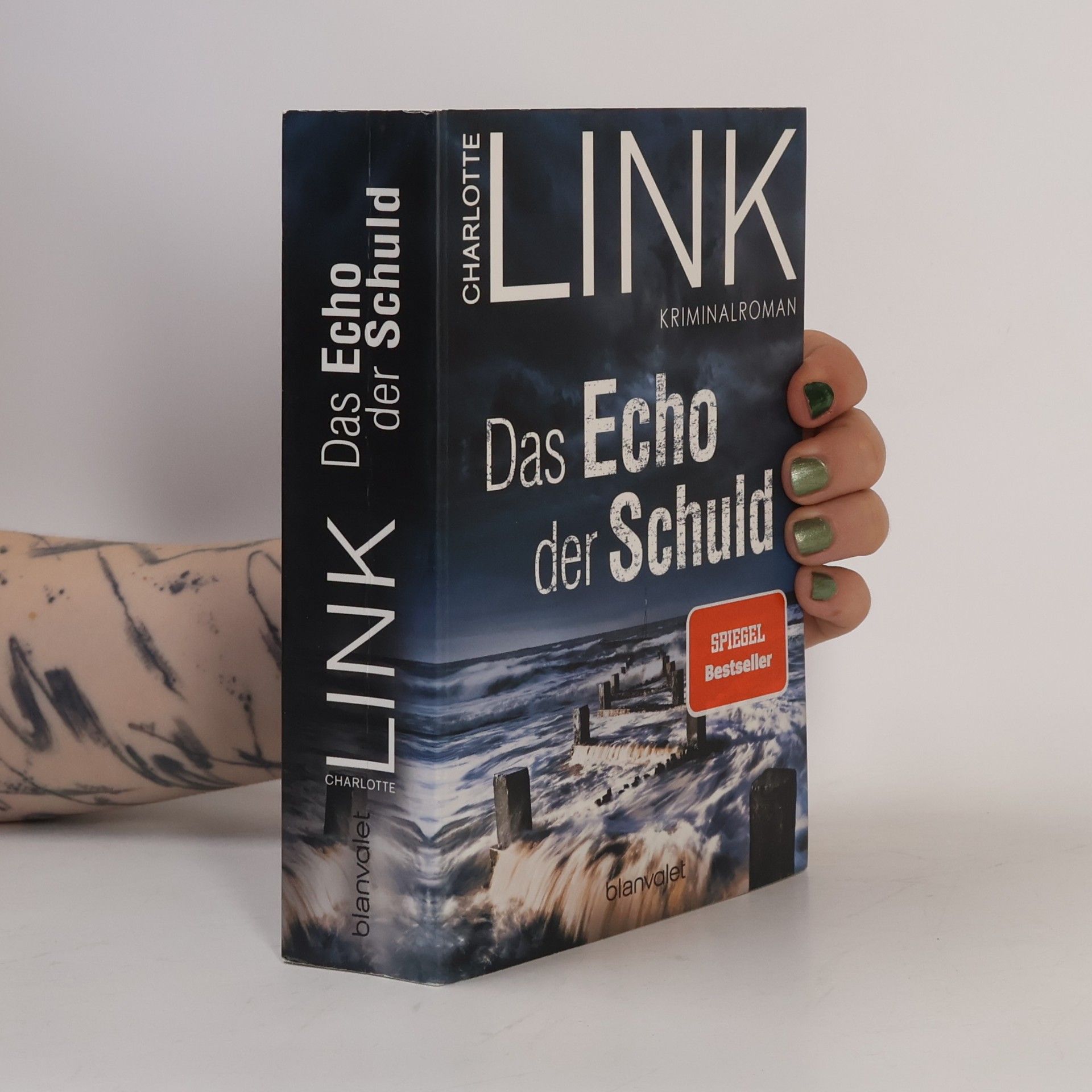 Charlotte Link Das Echo der Schuld