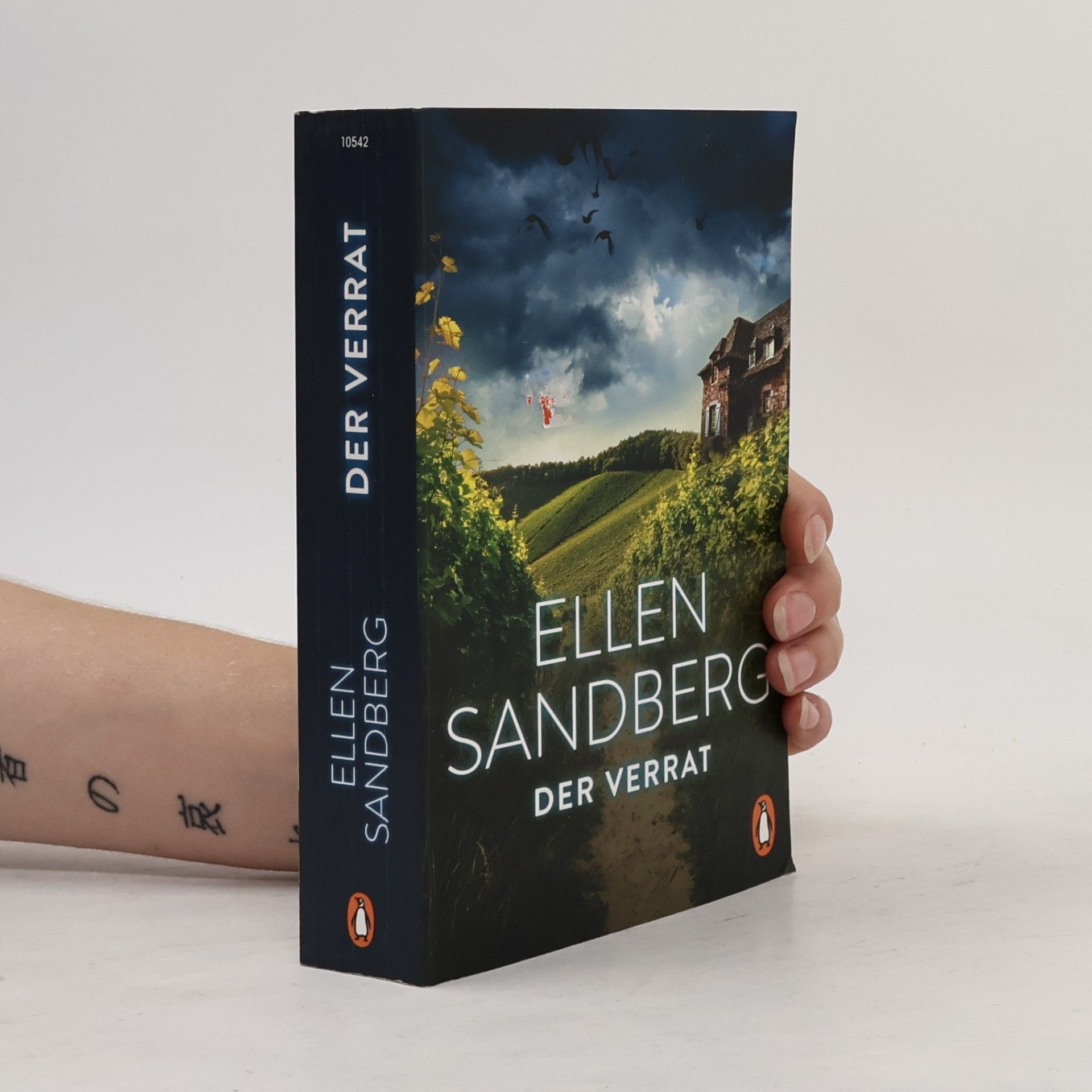 Ellen Sandberg Der Verrat