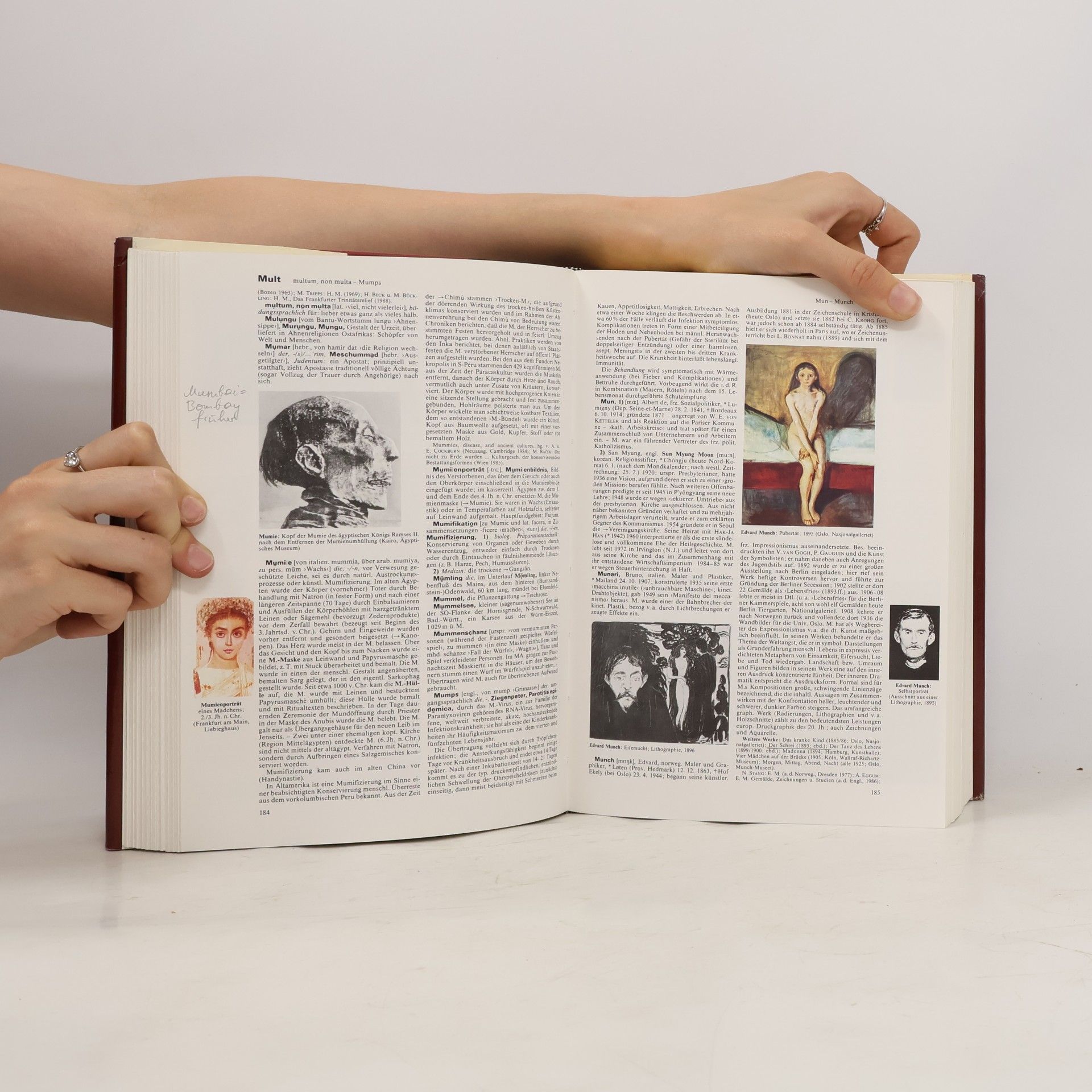 Autorenkollektiv Brockhaus Enzyklopädie 15 (Moe-Nor)