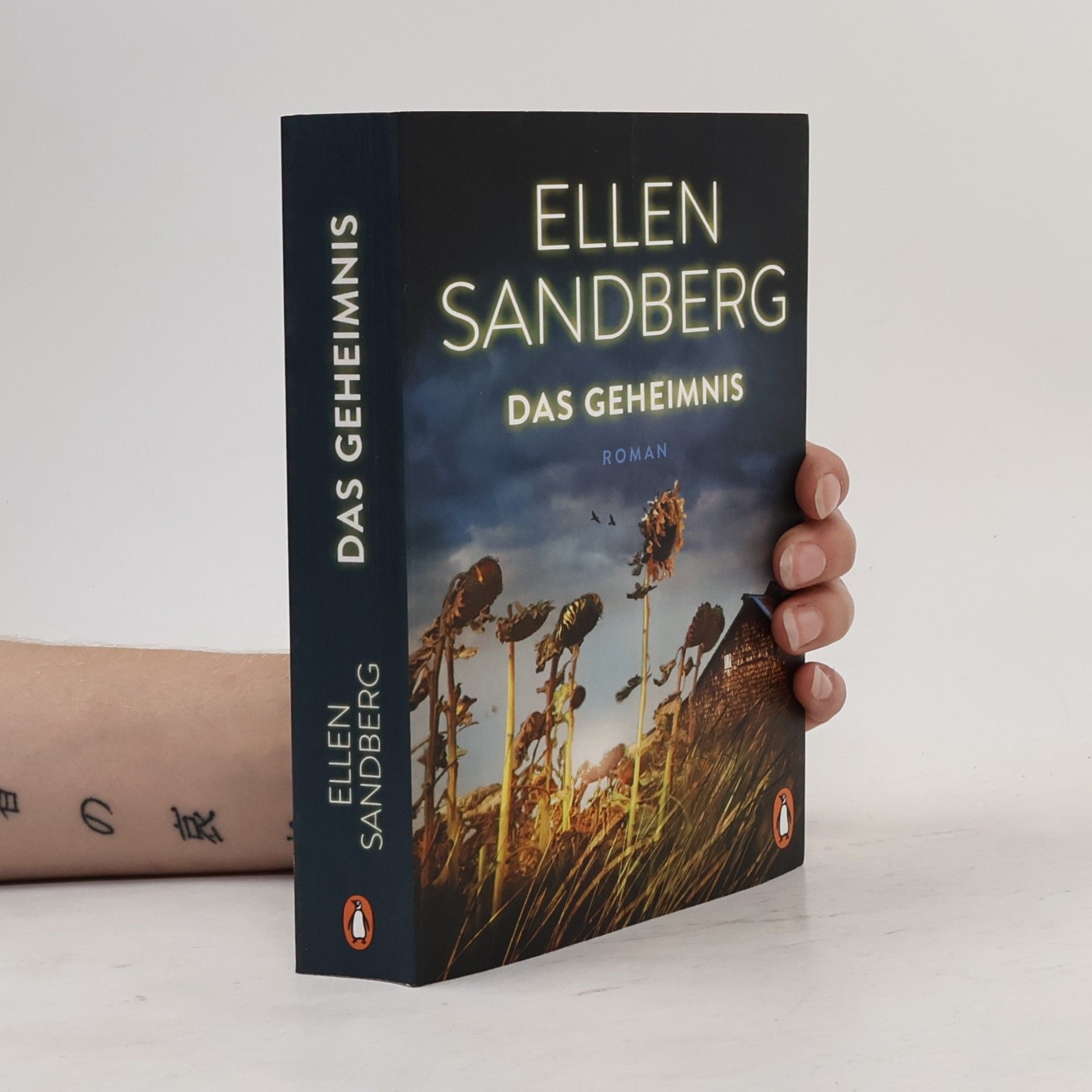 Ellen Sandberg Das Geheimnis