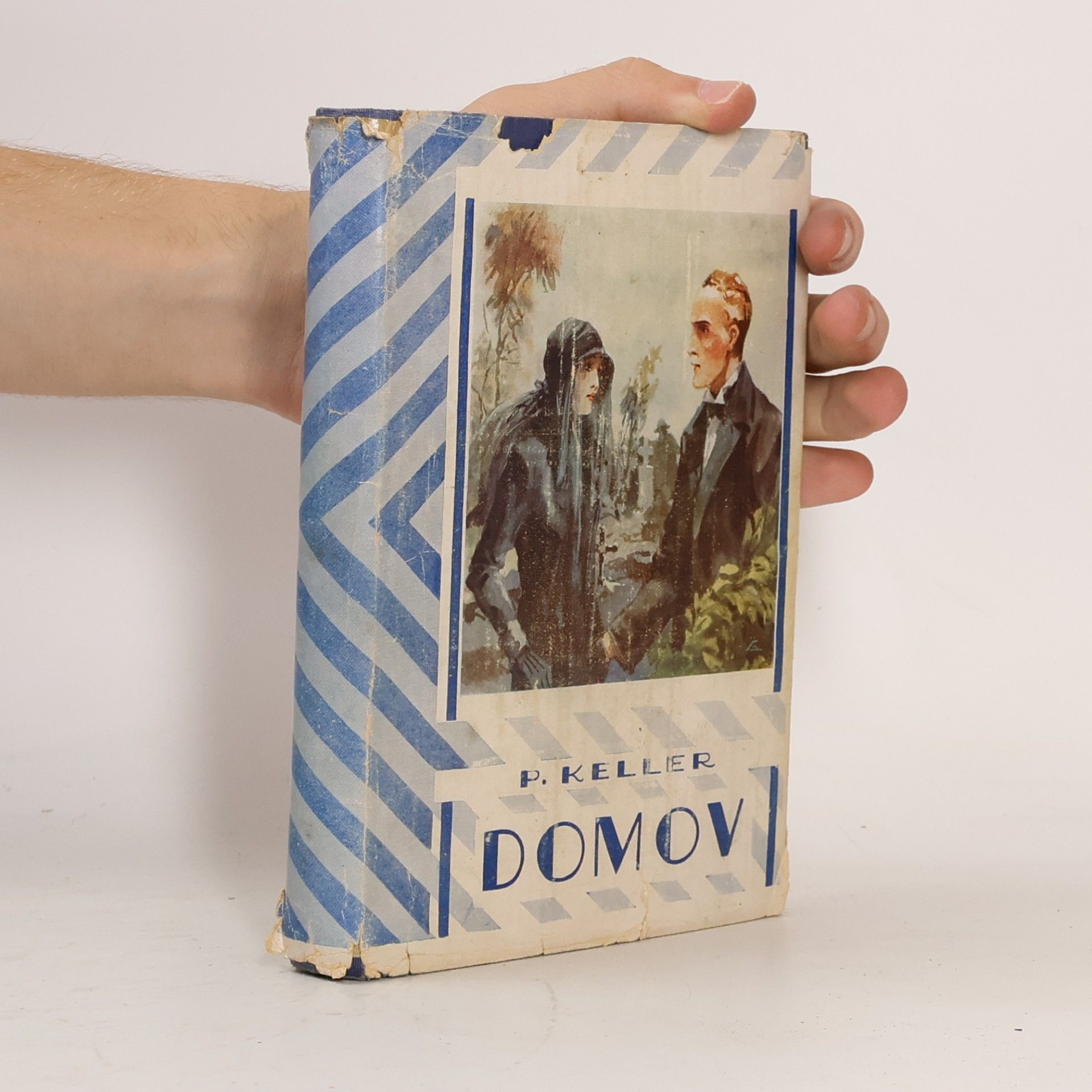 Domov