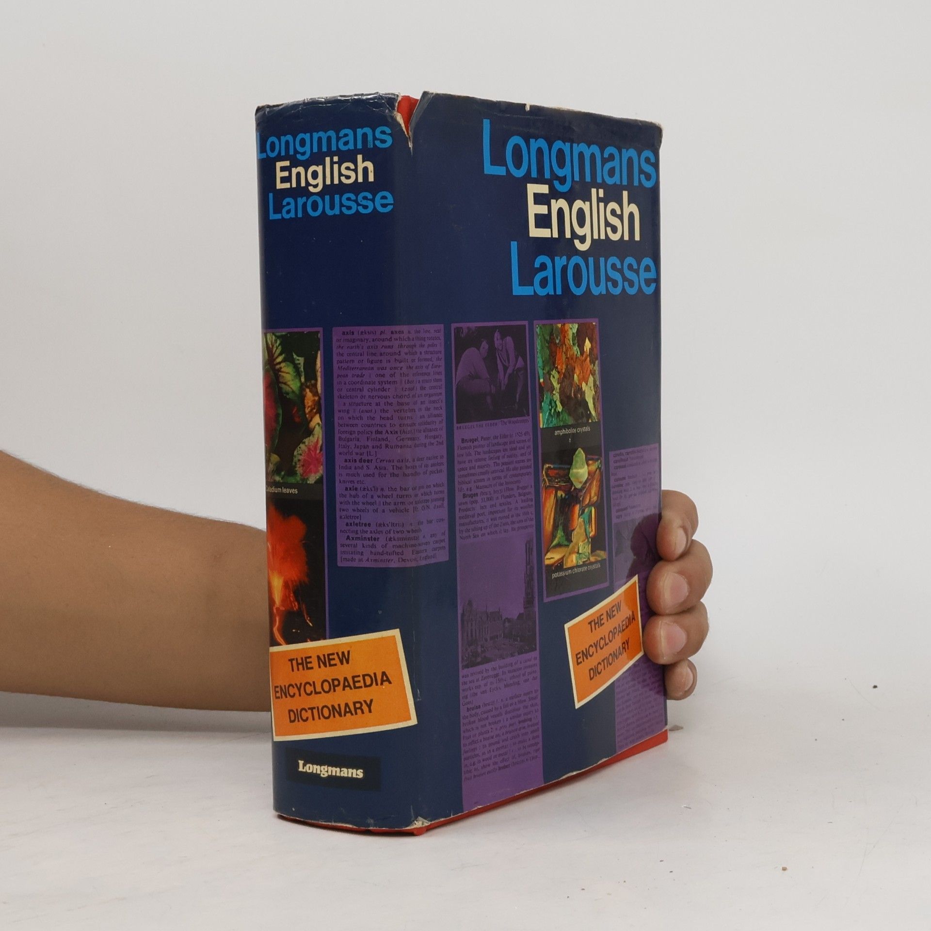 Autorenkollektiv Longmans English Larousse