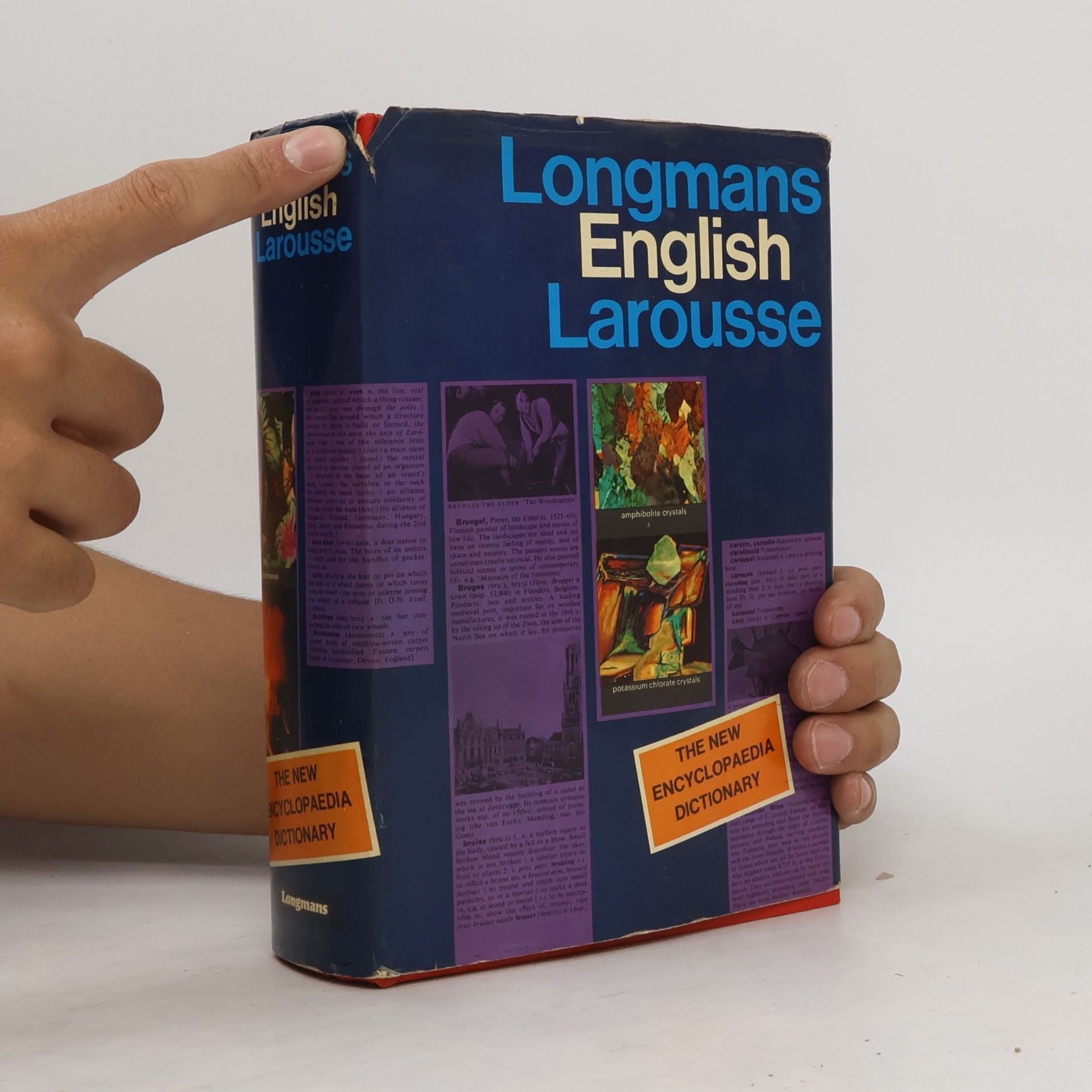 Autorenkollektiv Longmans English Larousse
