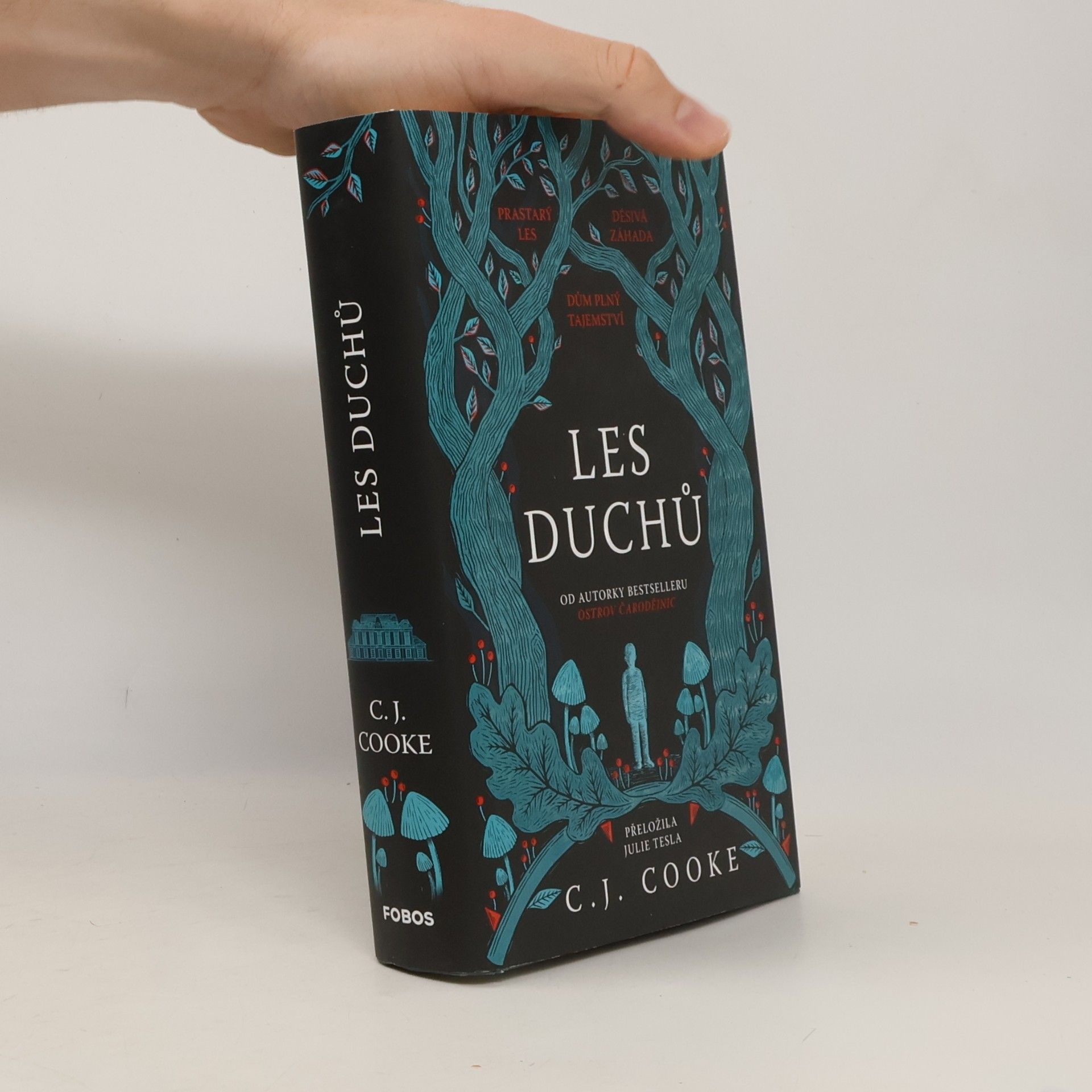 Carolyn Jess-Cooke Les duchů