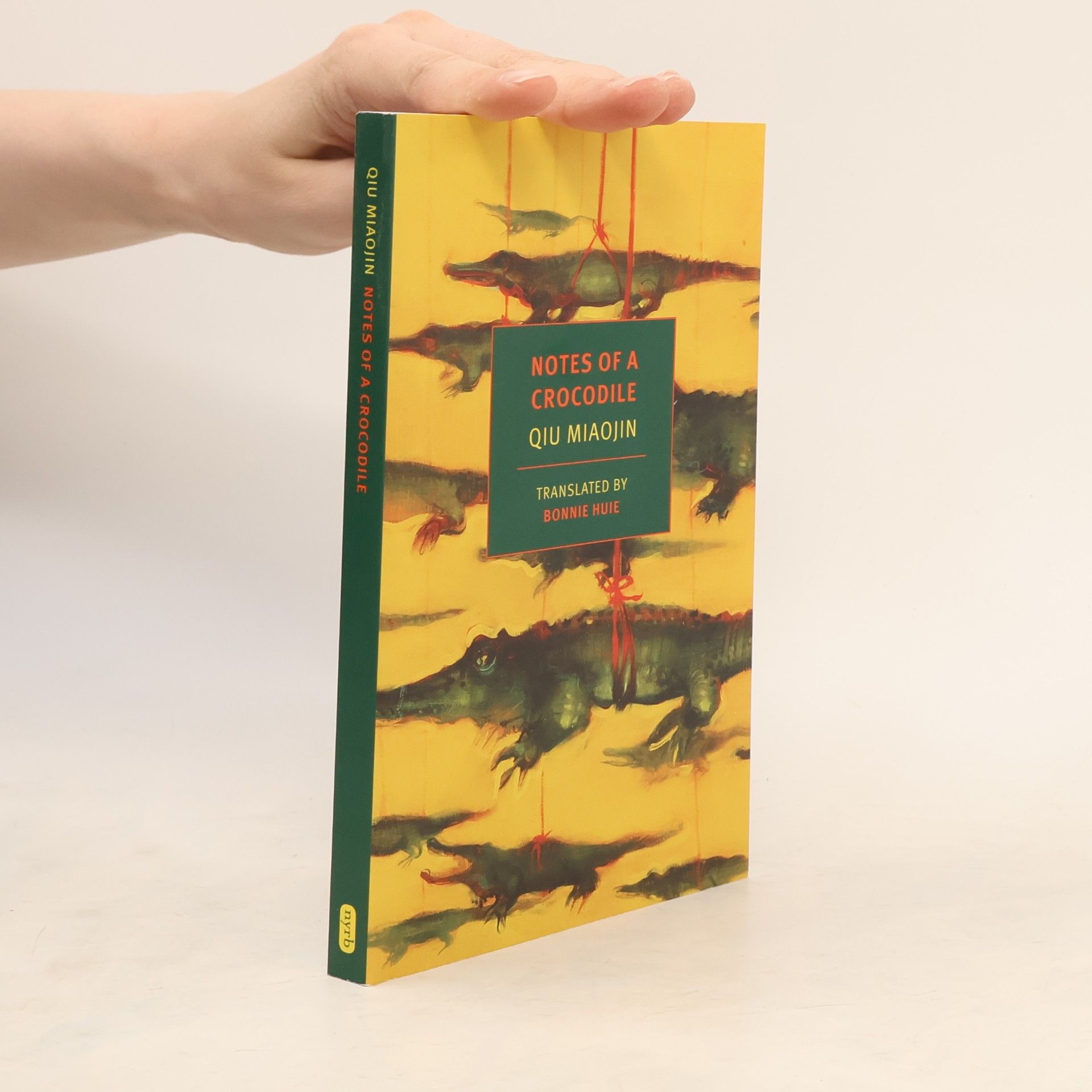 Miaojin Qiu Notes Of A Crocodile