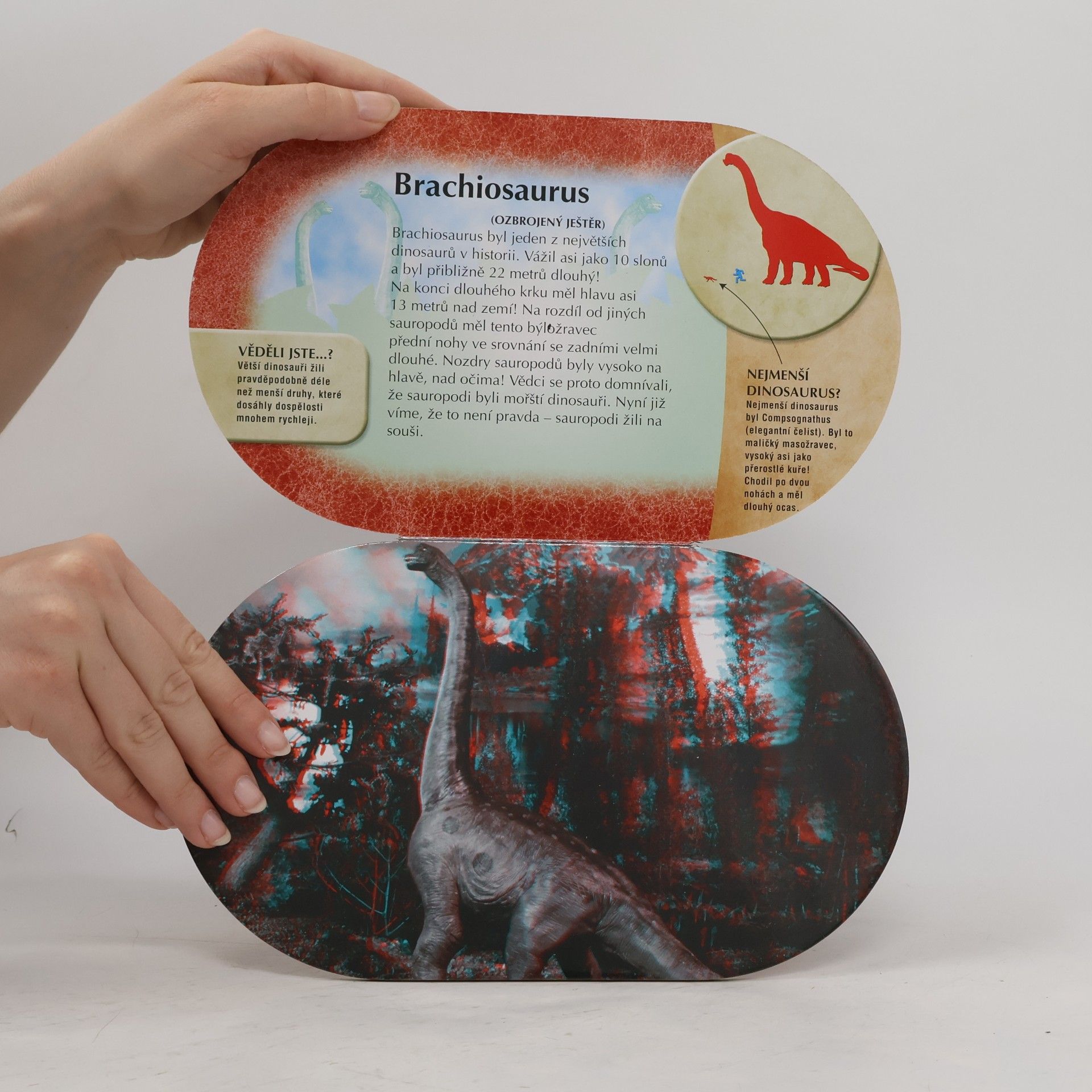 Autorenkollektiv Fakta o dinosaurech 3D