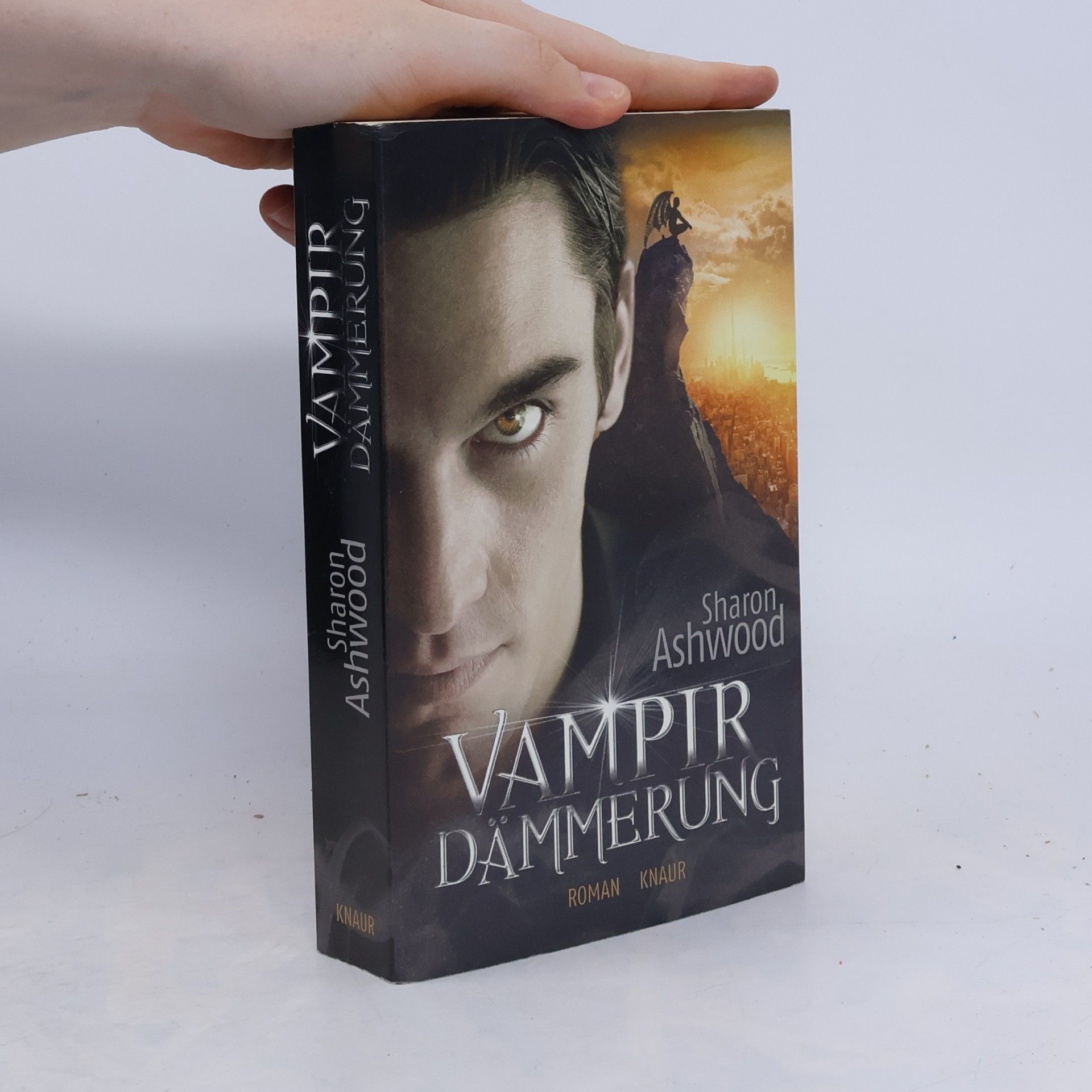 Sharon Ashwood Vampirdämmerung